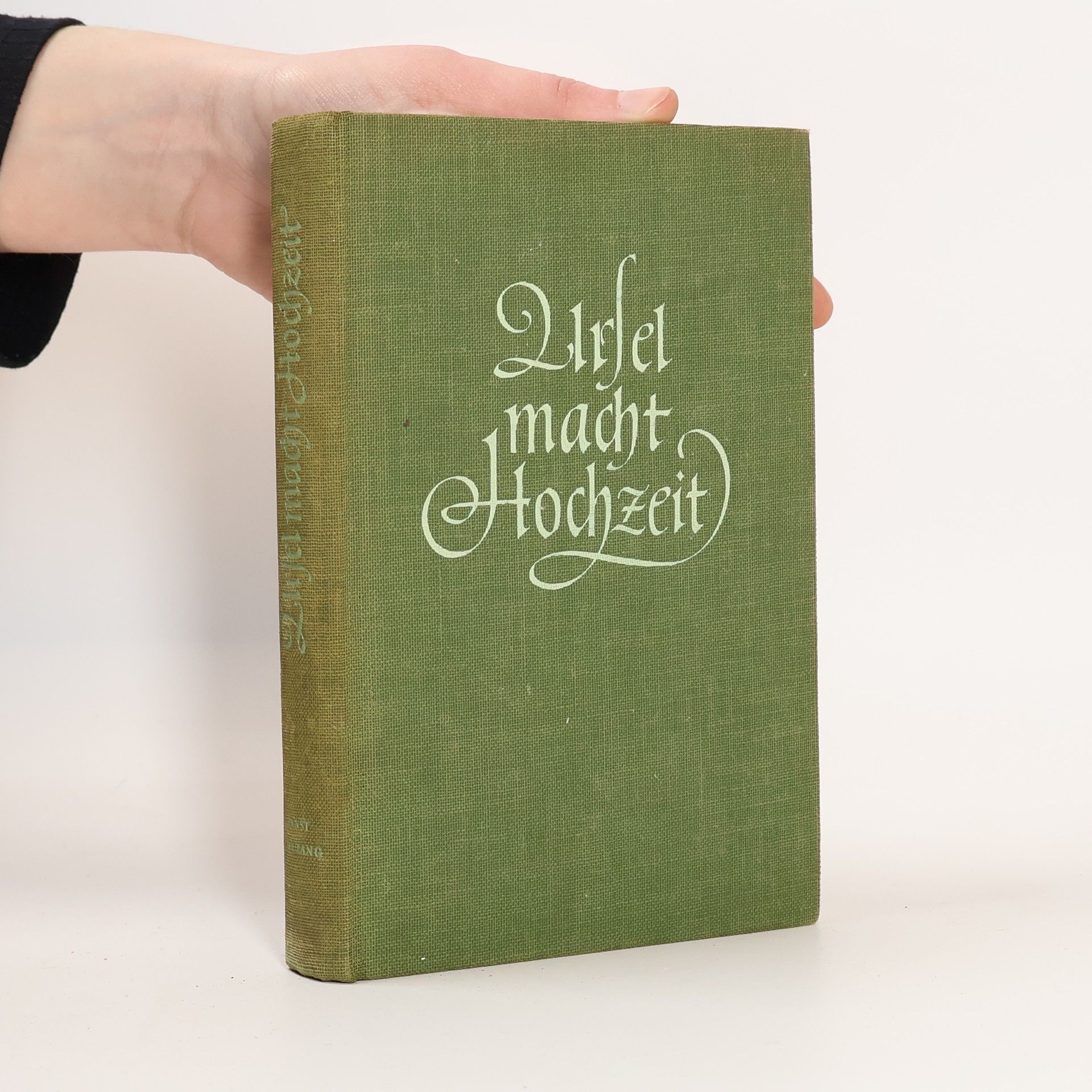 Ernst Preczang Ursel macht Hochzeit