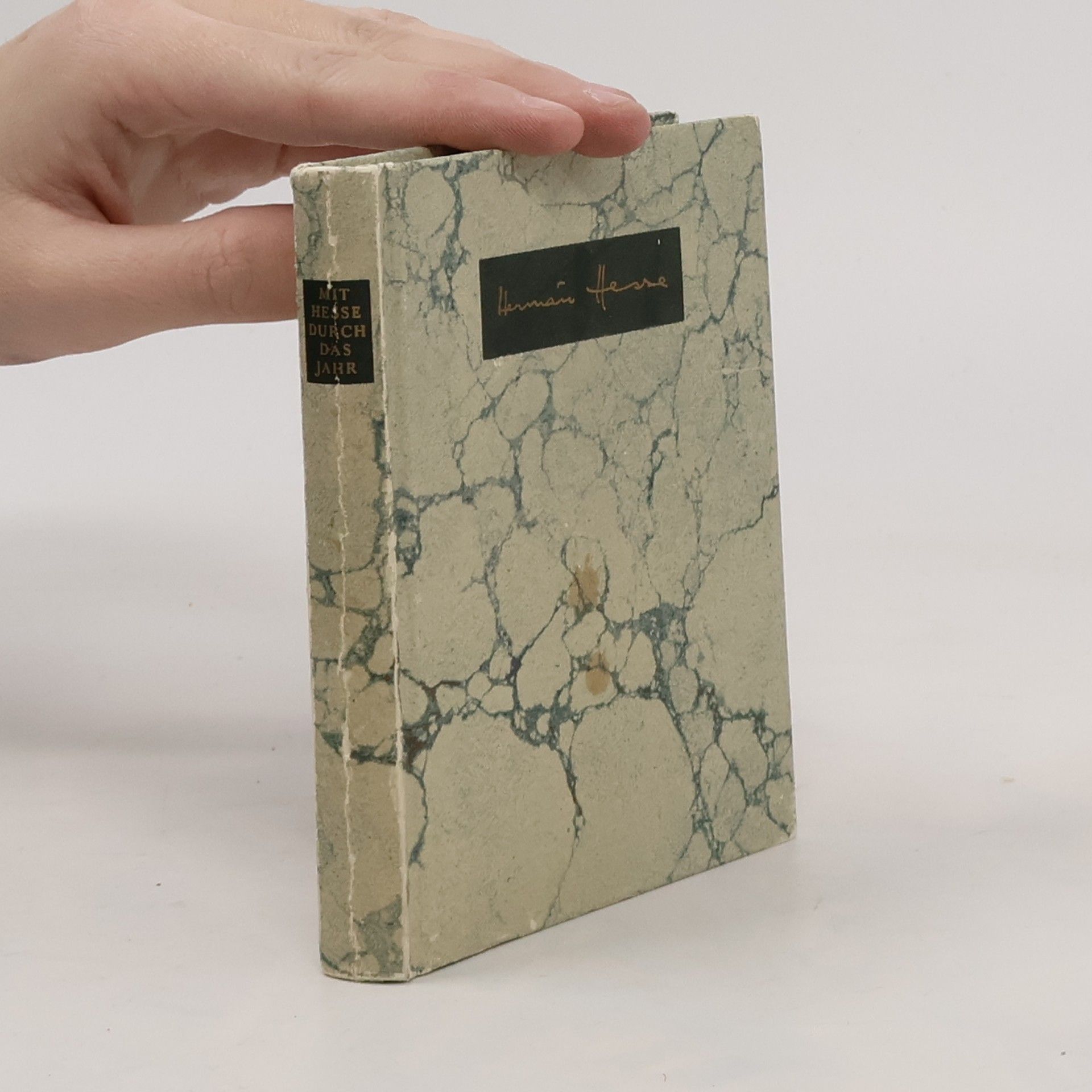 Hermann Hesse Mit Hesse durch das Jahr