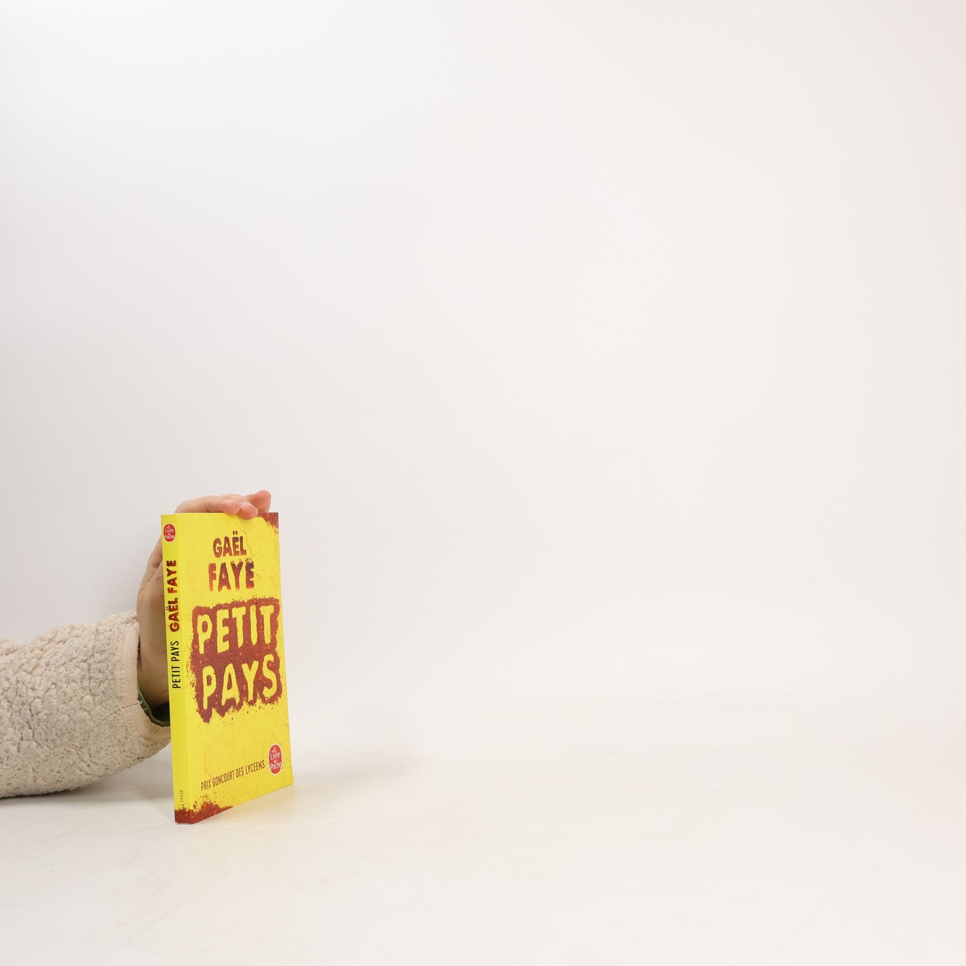 Gaël Faye Petit pays