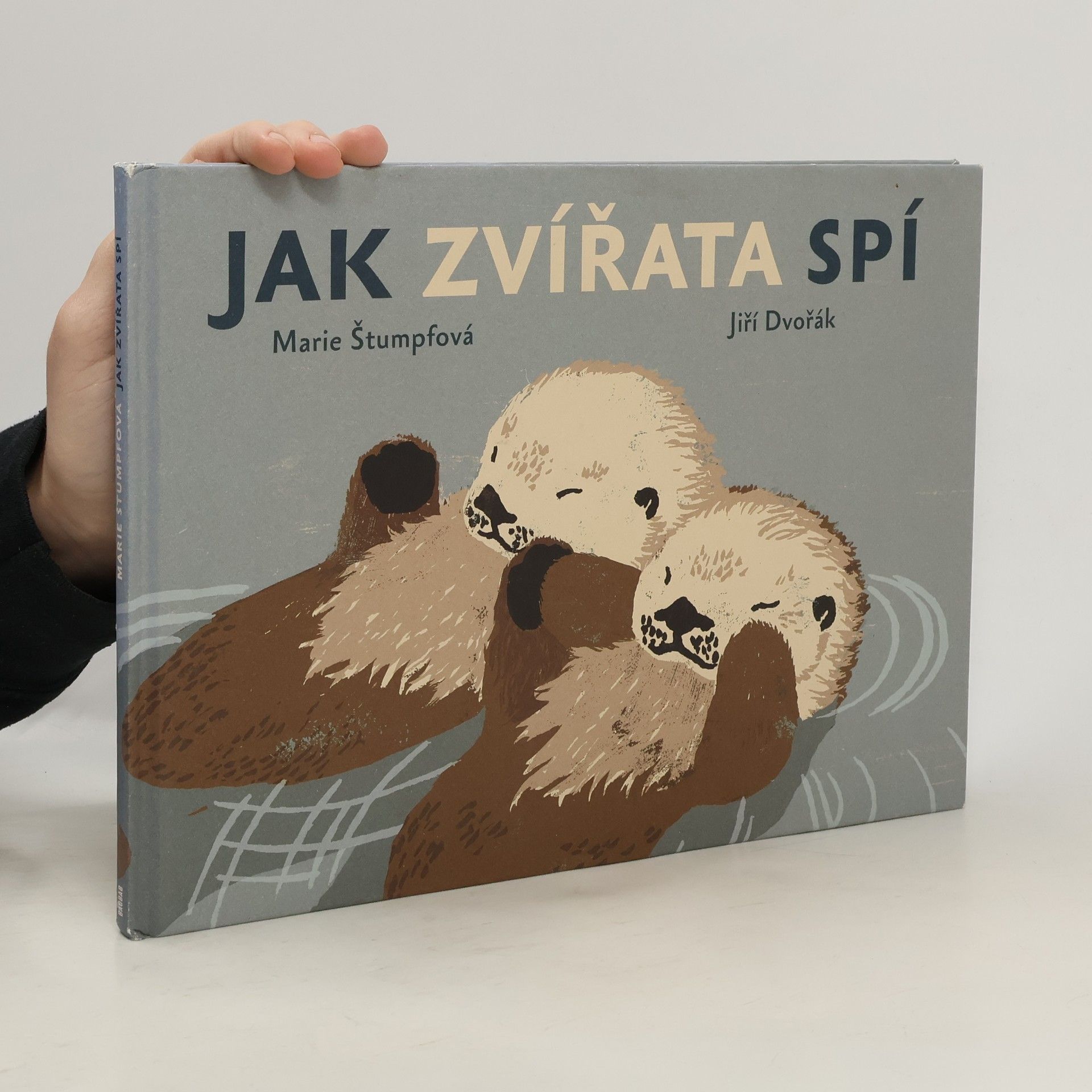 Marie Štumpfová Jak zvířata spí