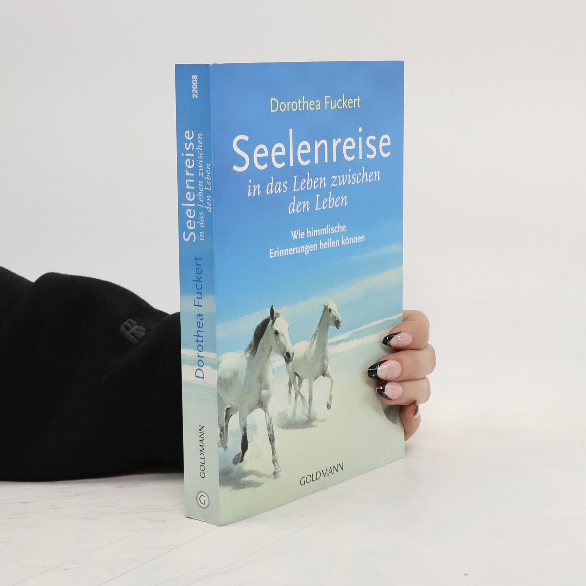 Collectif d'auteurs Seelenreise in das Leben zwischen den Leben