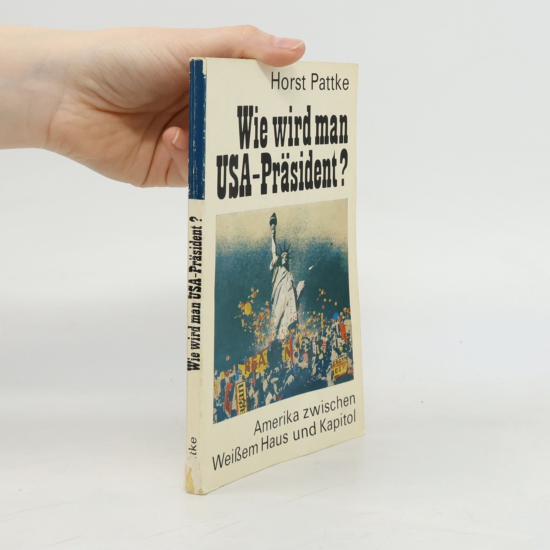 Wie wird man USA-Präsident?