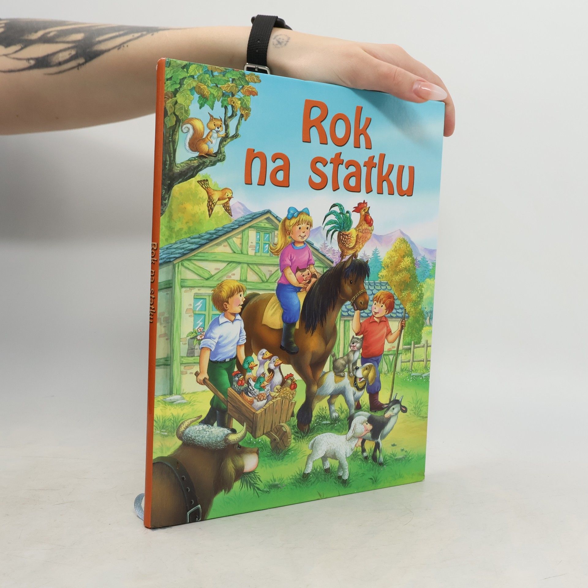 Kolektiv autorů Rok na statku