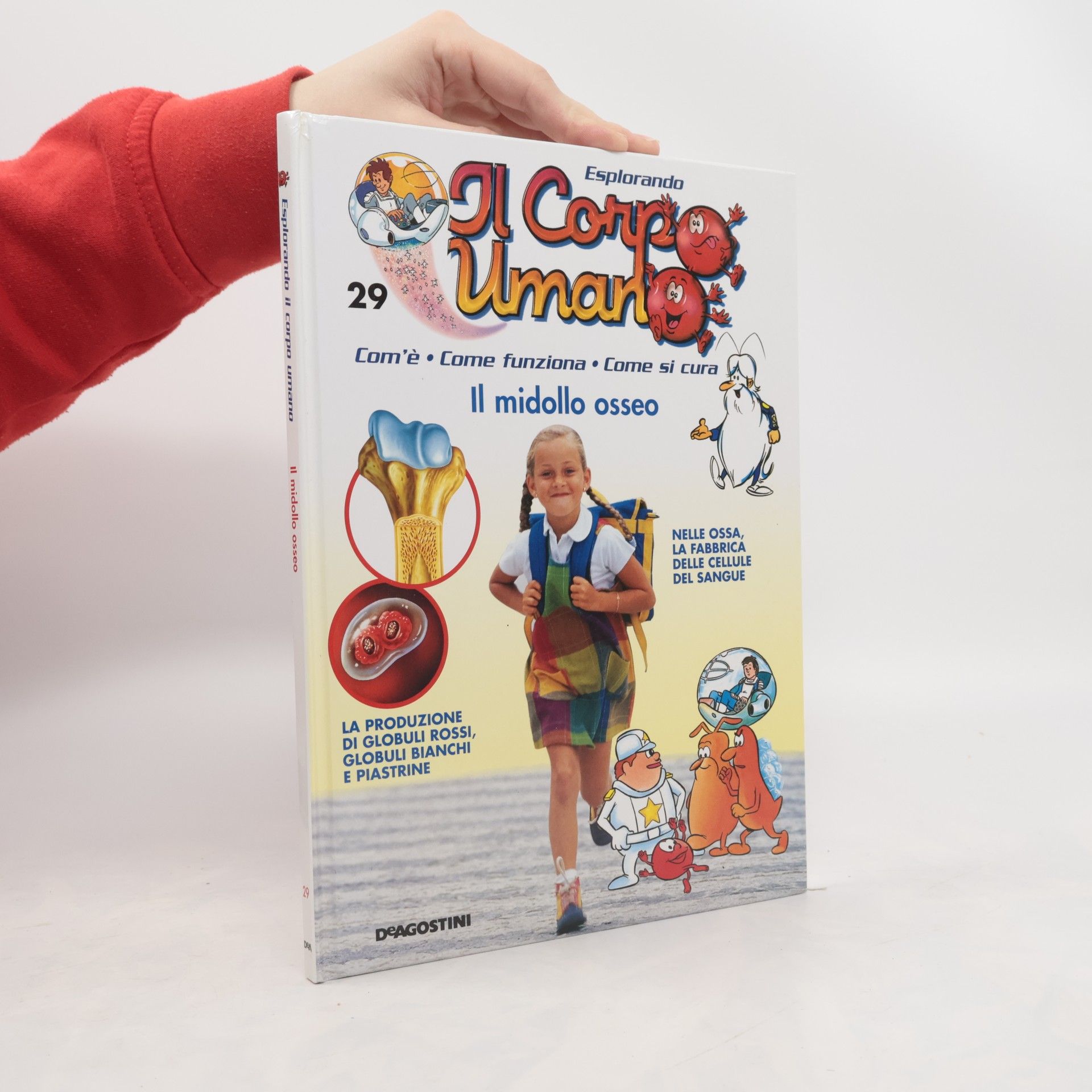 Collectif d'auteurs Esplorando Il Corpo Umano 29