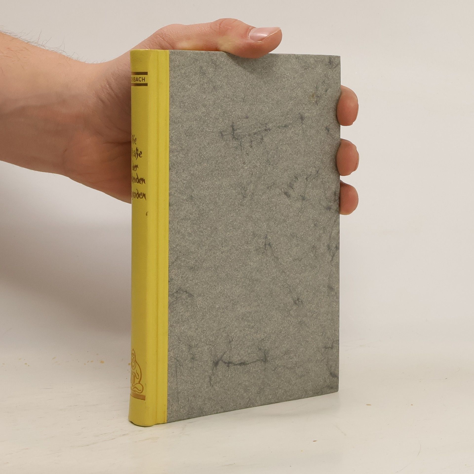 Maria von Kirchbach  Die Strasse der Nickenden Pagoden