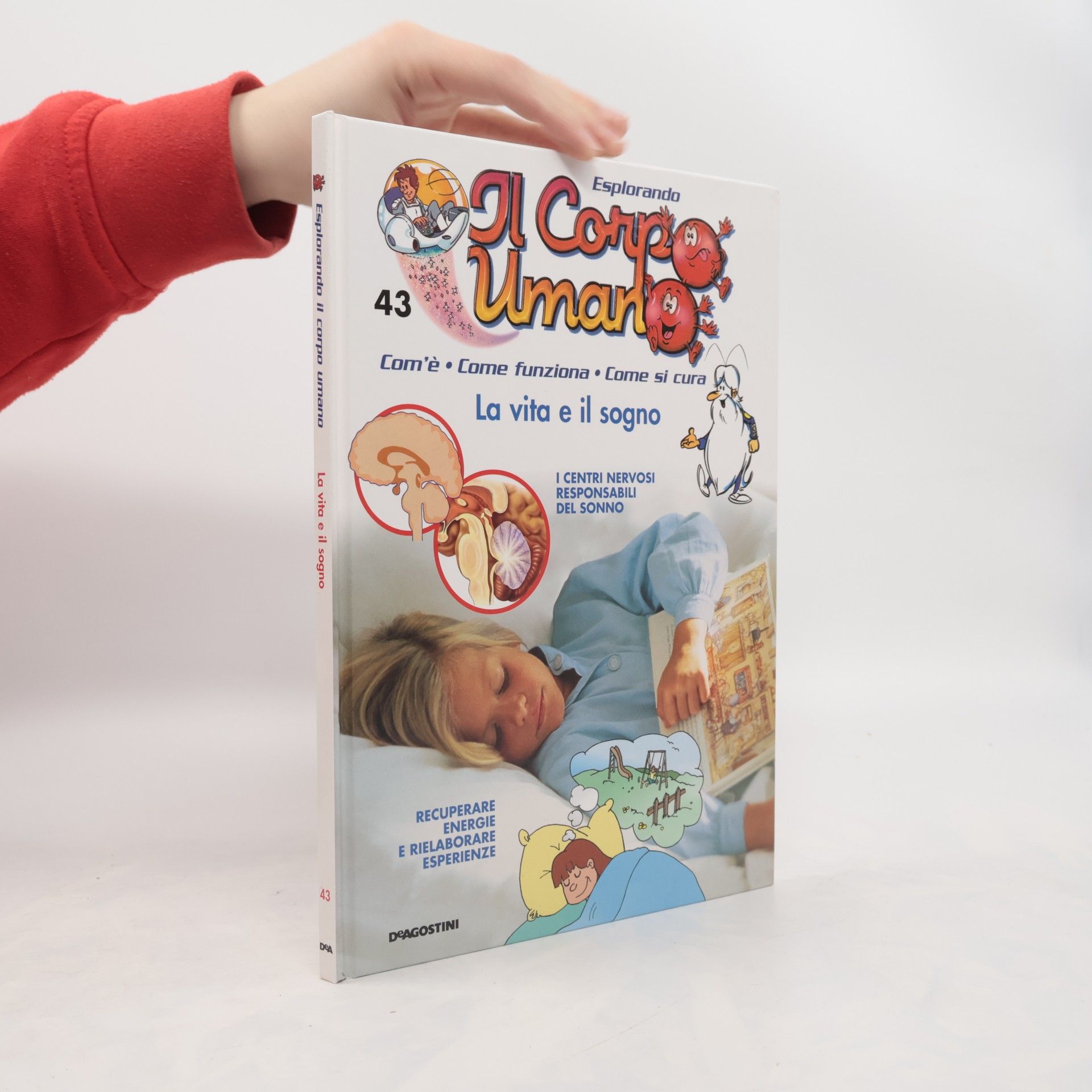 Collectif d'auteurs Esplorando Il Corpo Umano 43