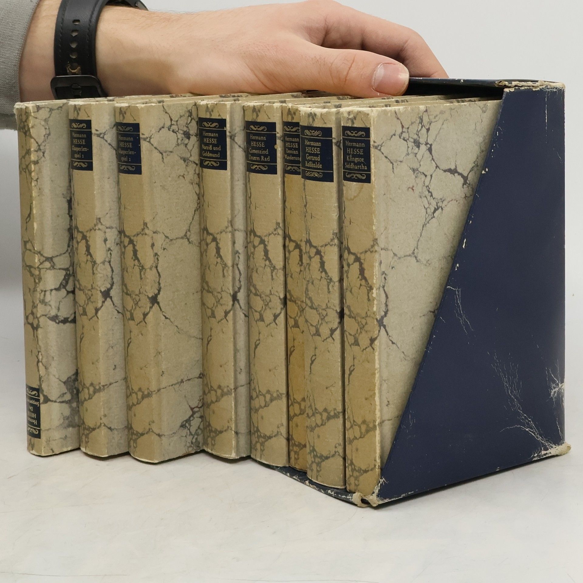 Hermann Hesse Die Romane und die großen Erzählungen. Band 1-8 komplett.