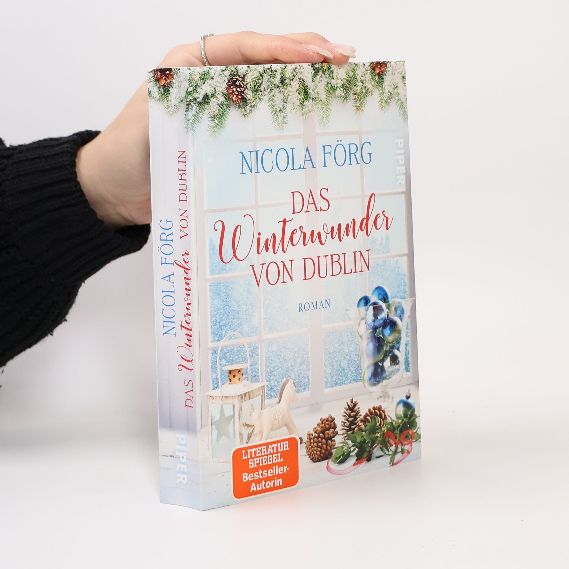 Nicola Förg Das Winterwunder von Dublin