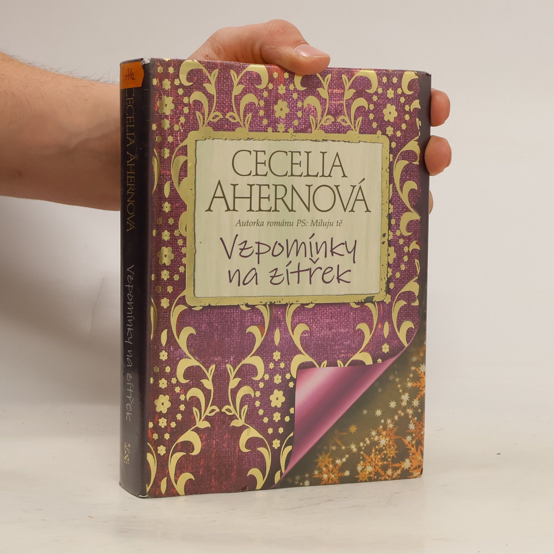 Cecelia Ahern Vzpomínky na zítřek