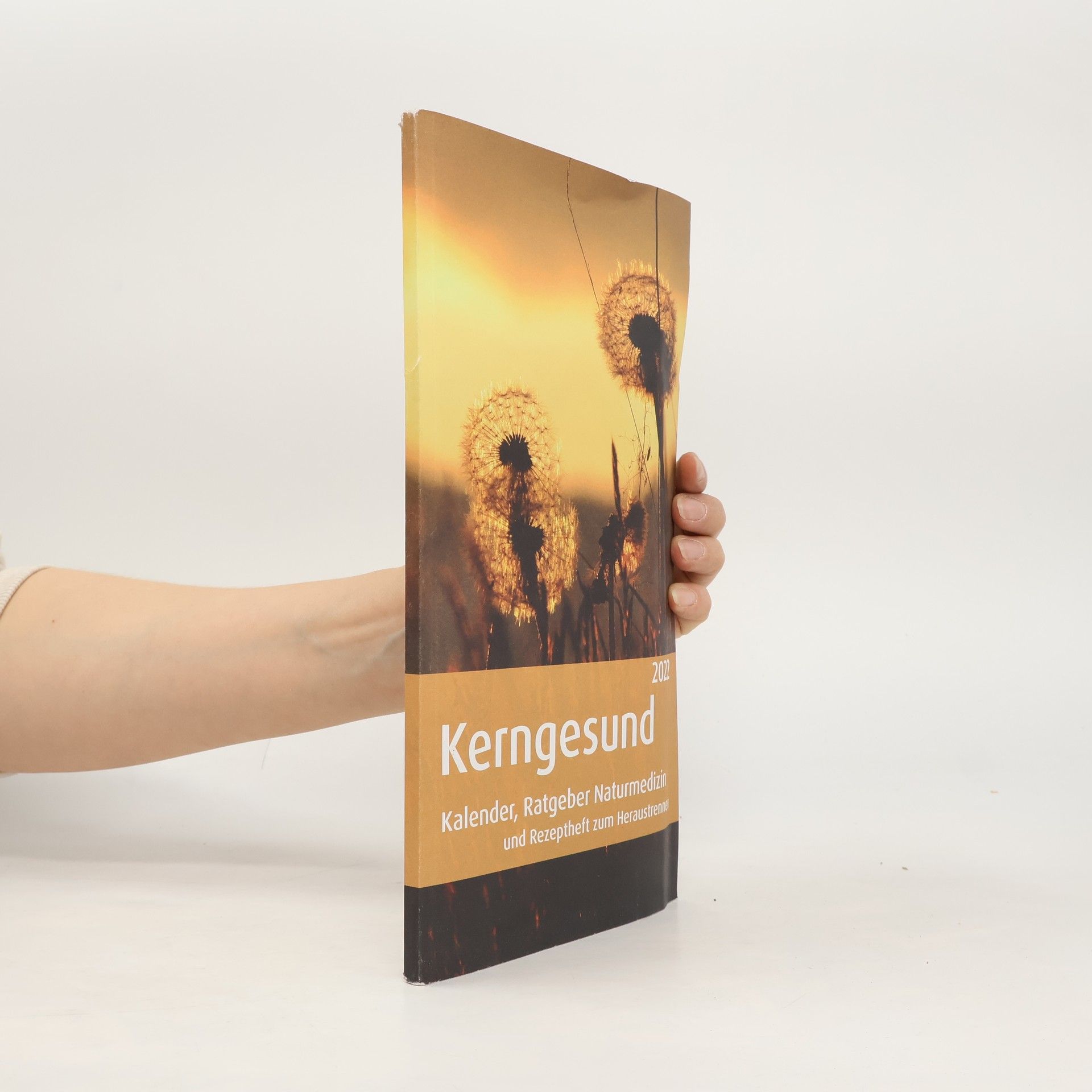 Collectif d'auteurs Kerngesund 2023