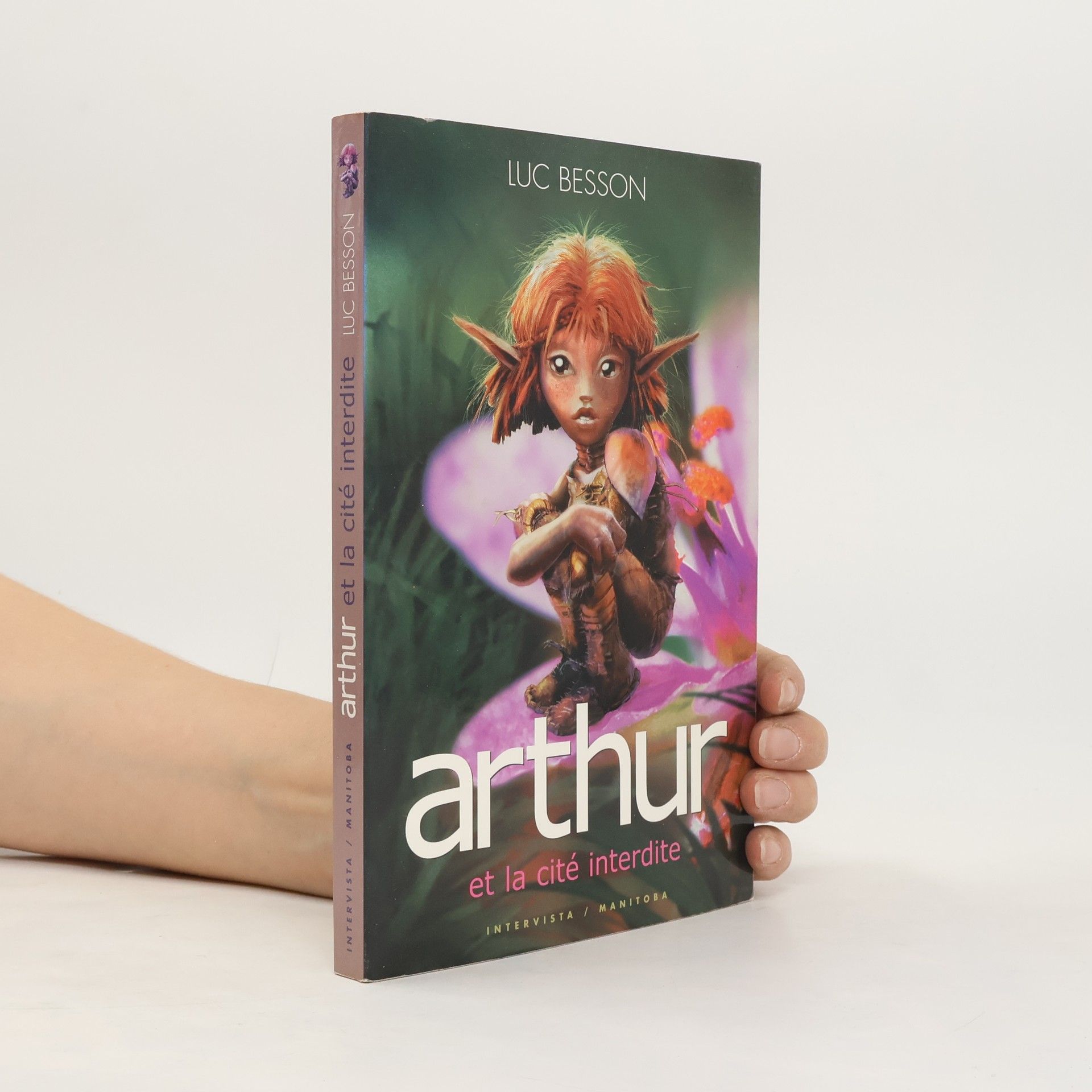 Arthur et la cité interdite