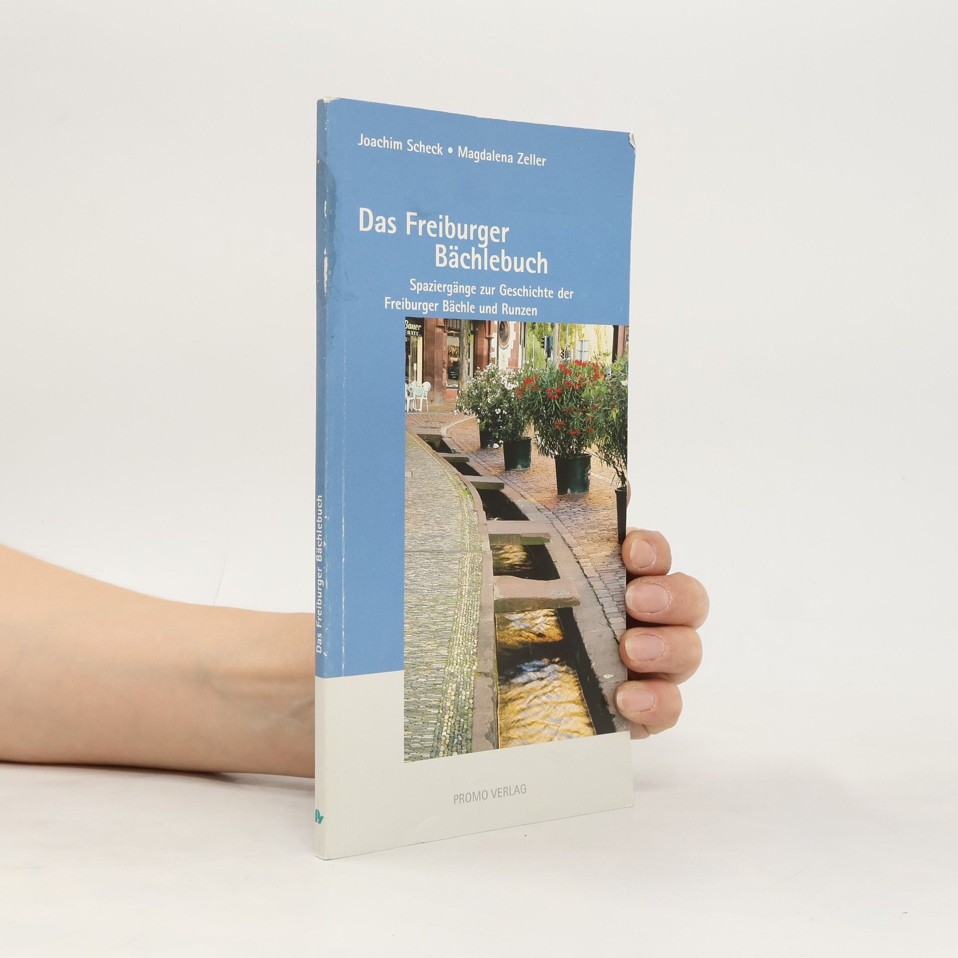 Das Freiburger Bächlebuch