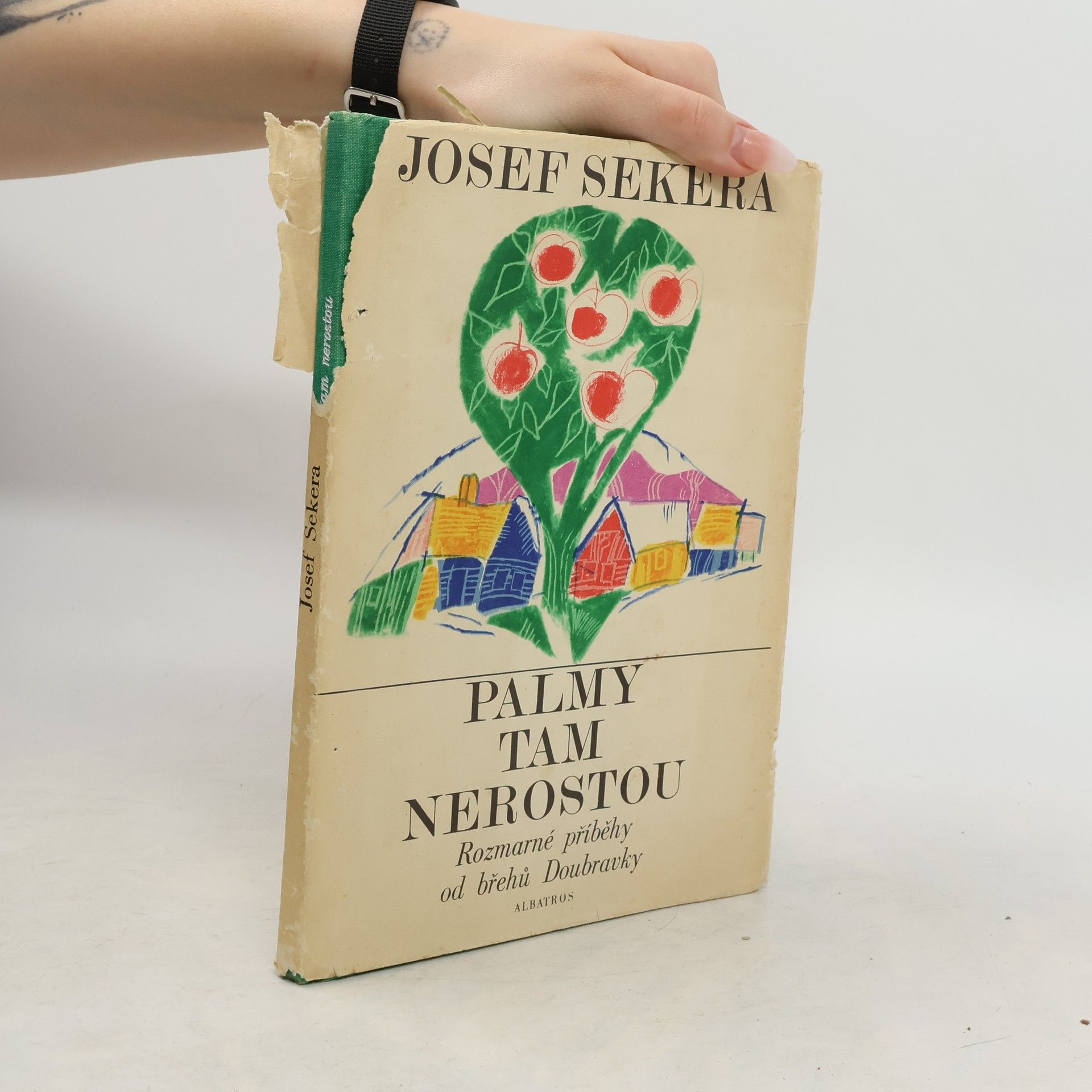 Josef Sekera Palmy tam nerostou. Rozmarné příběhy od břehů Doubravky
