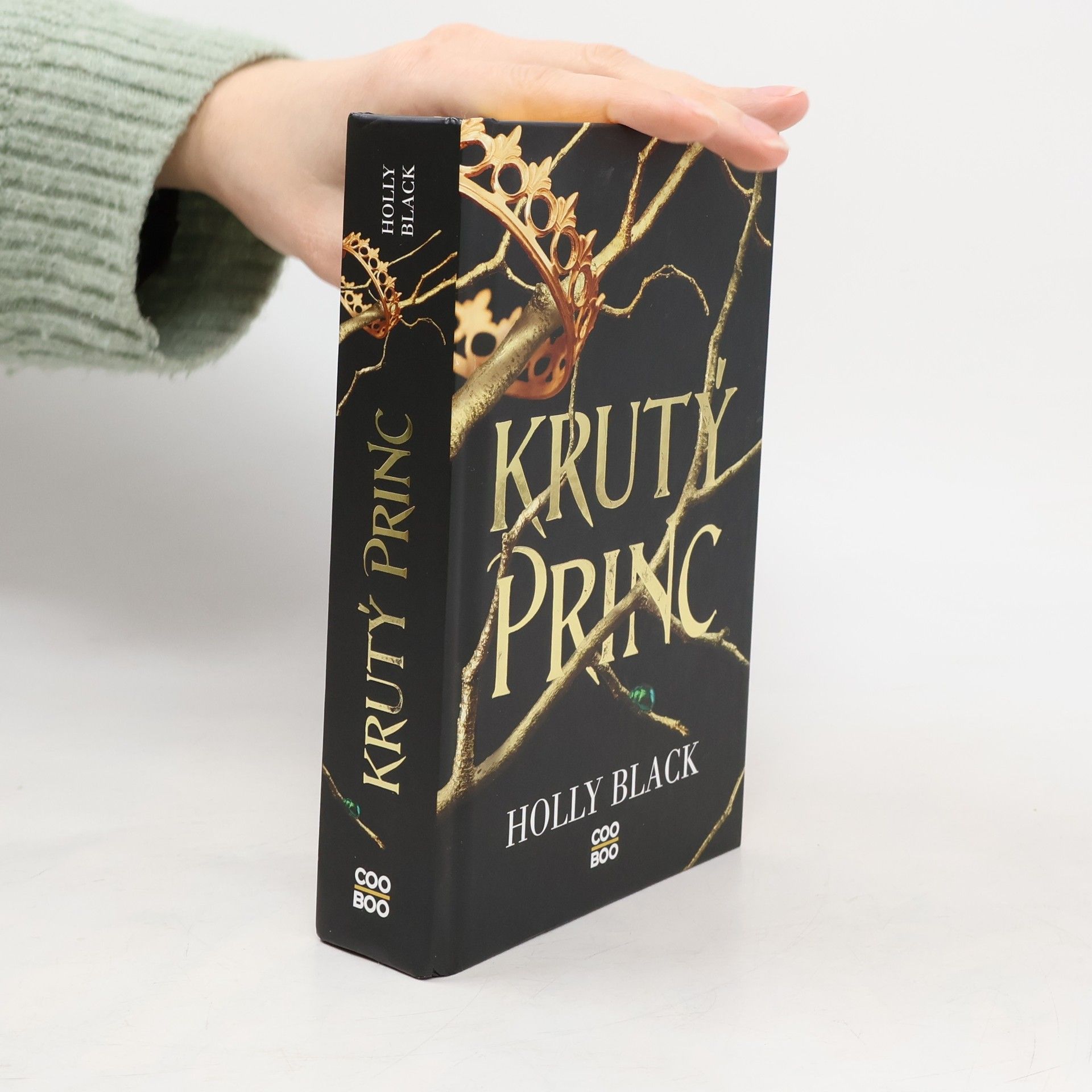 Holly Black Krutý princ