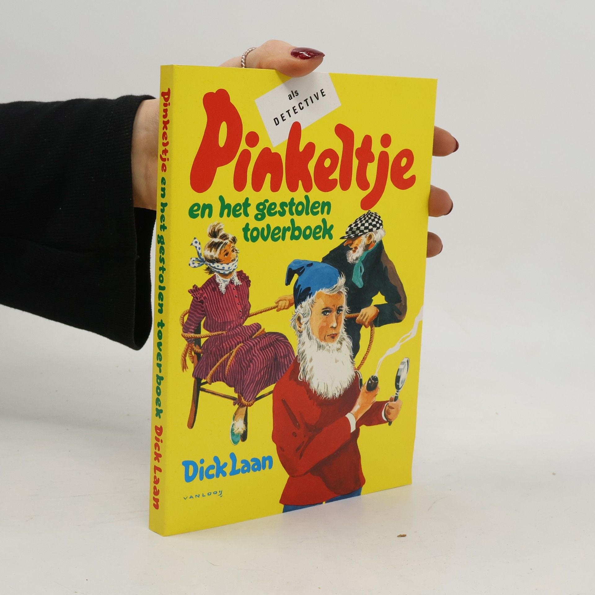 Dick Laan Pinkeltje en het gestolen toverboek