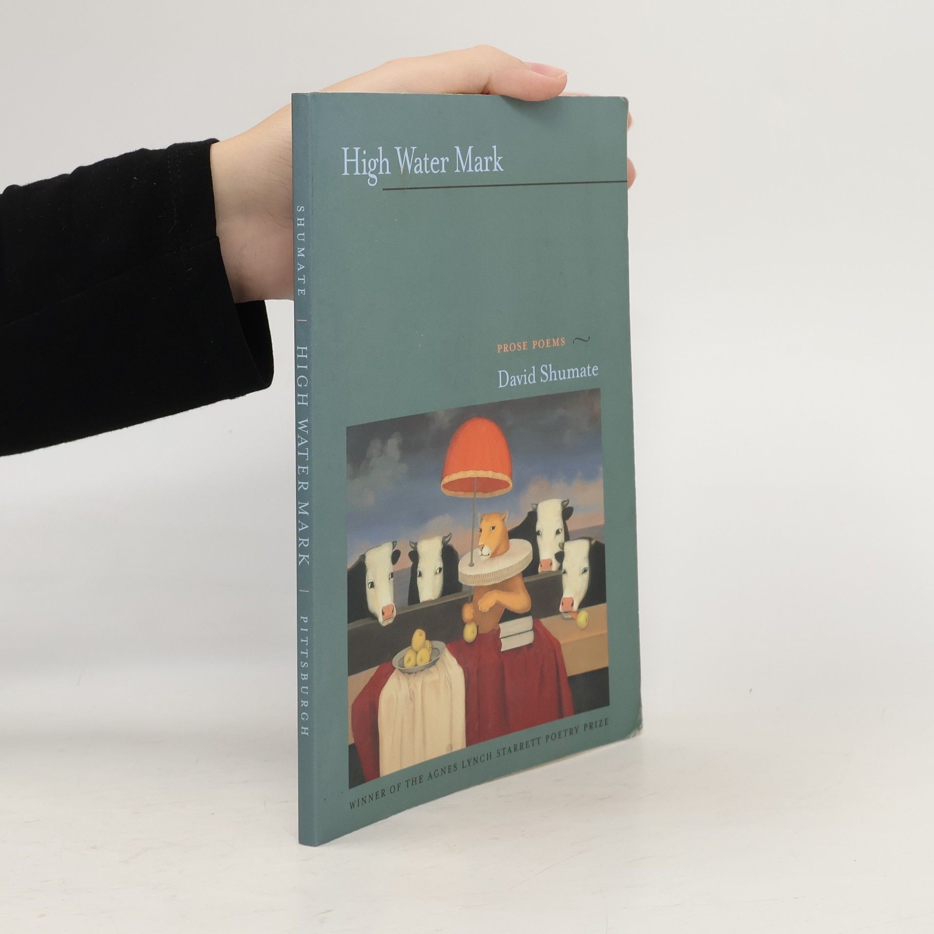 David Shumate High Water Mark