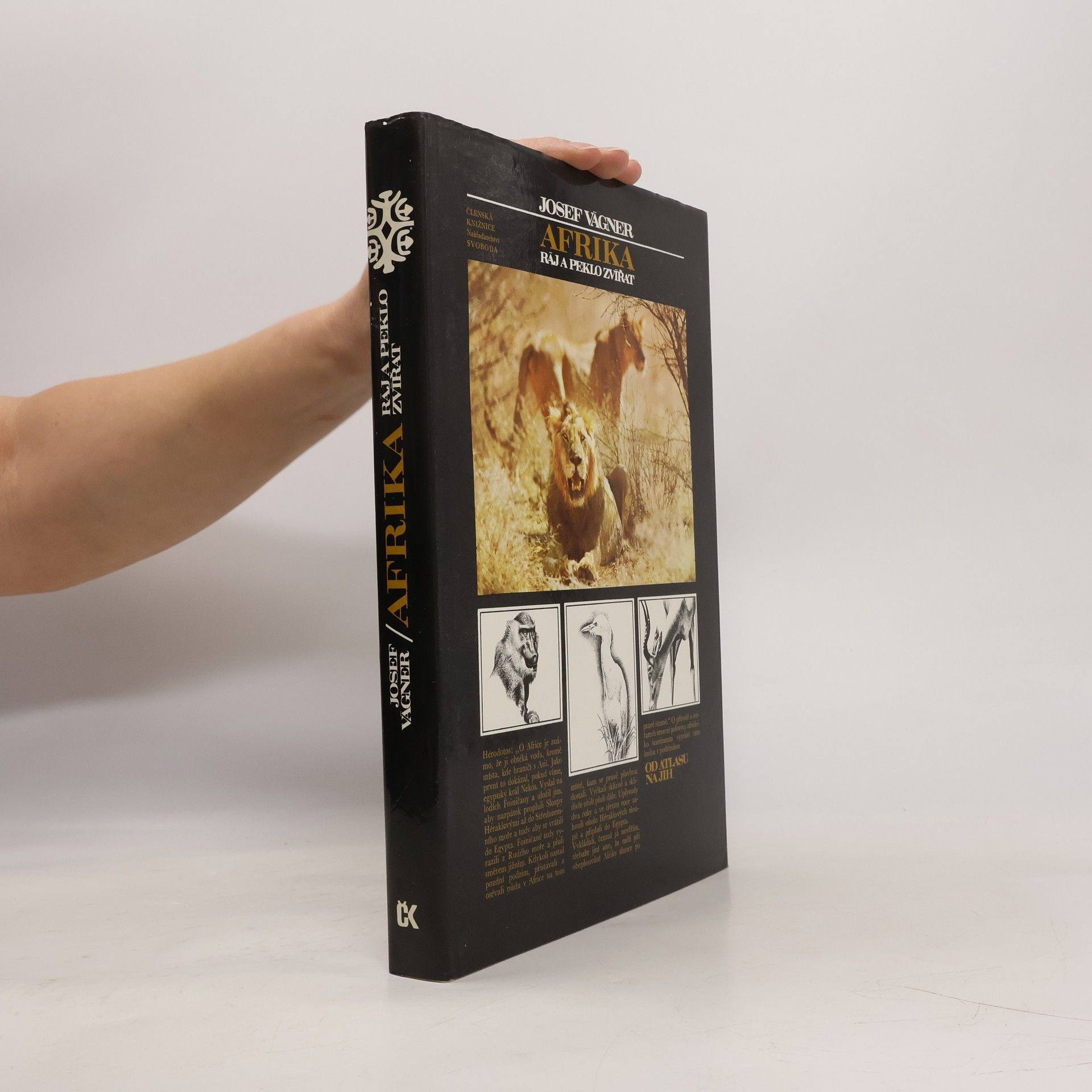 Afrika. Ráj a peklo zvířat