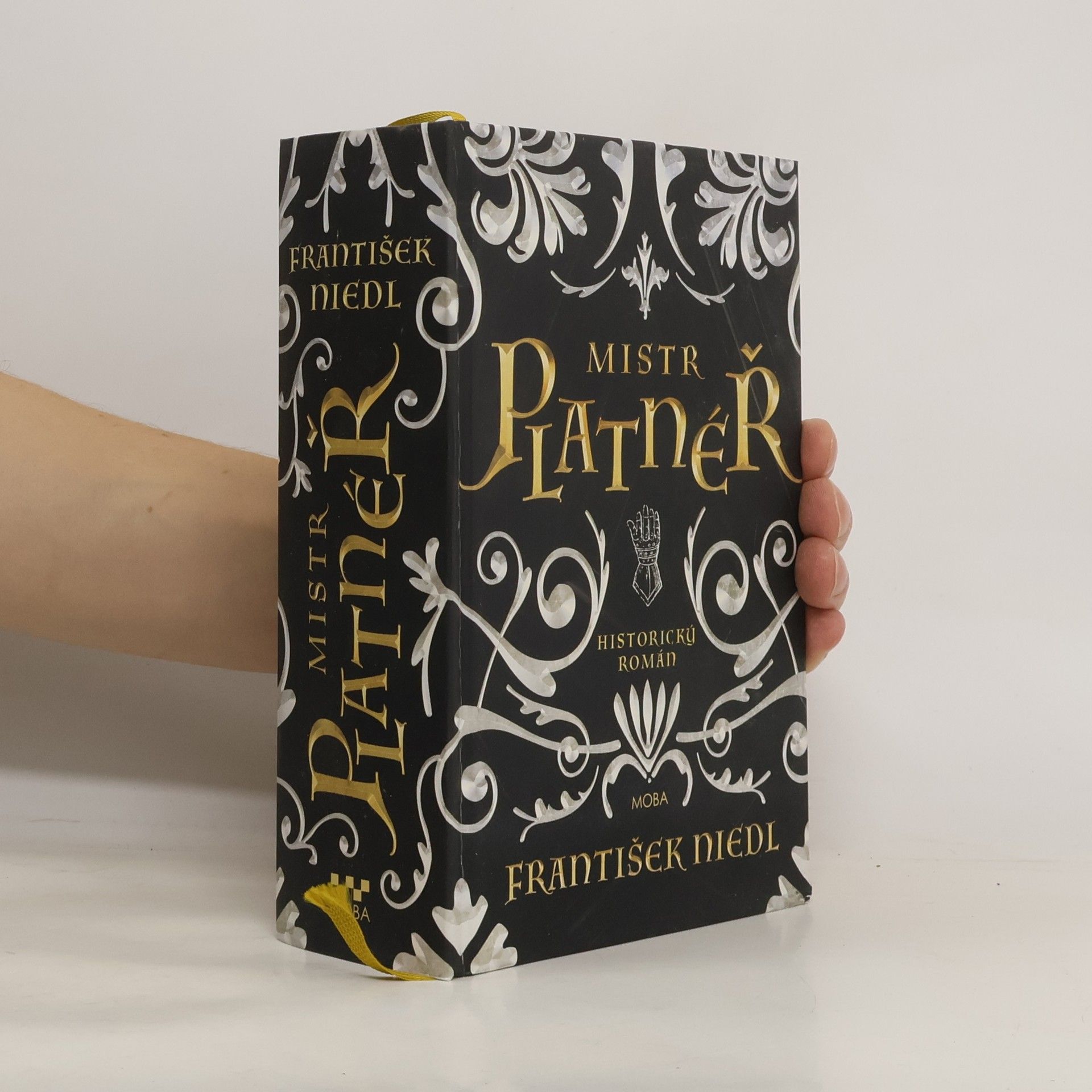 František Niedl Mistr Platnéř