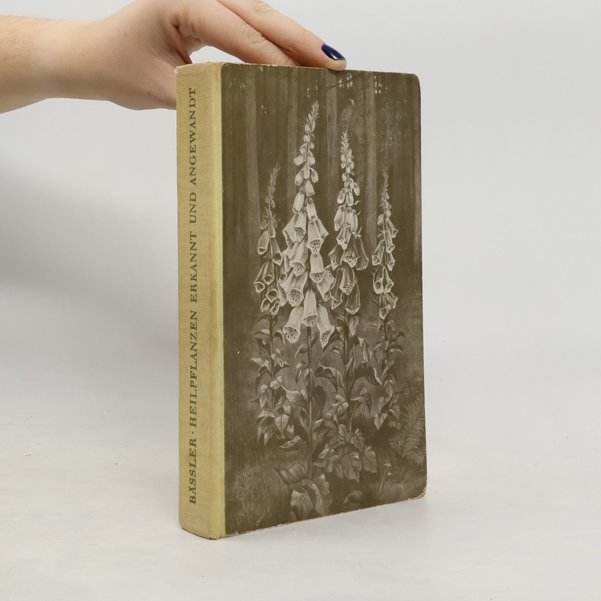 Heilpflanzen,erkannt und angewandt