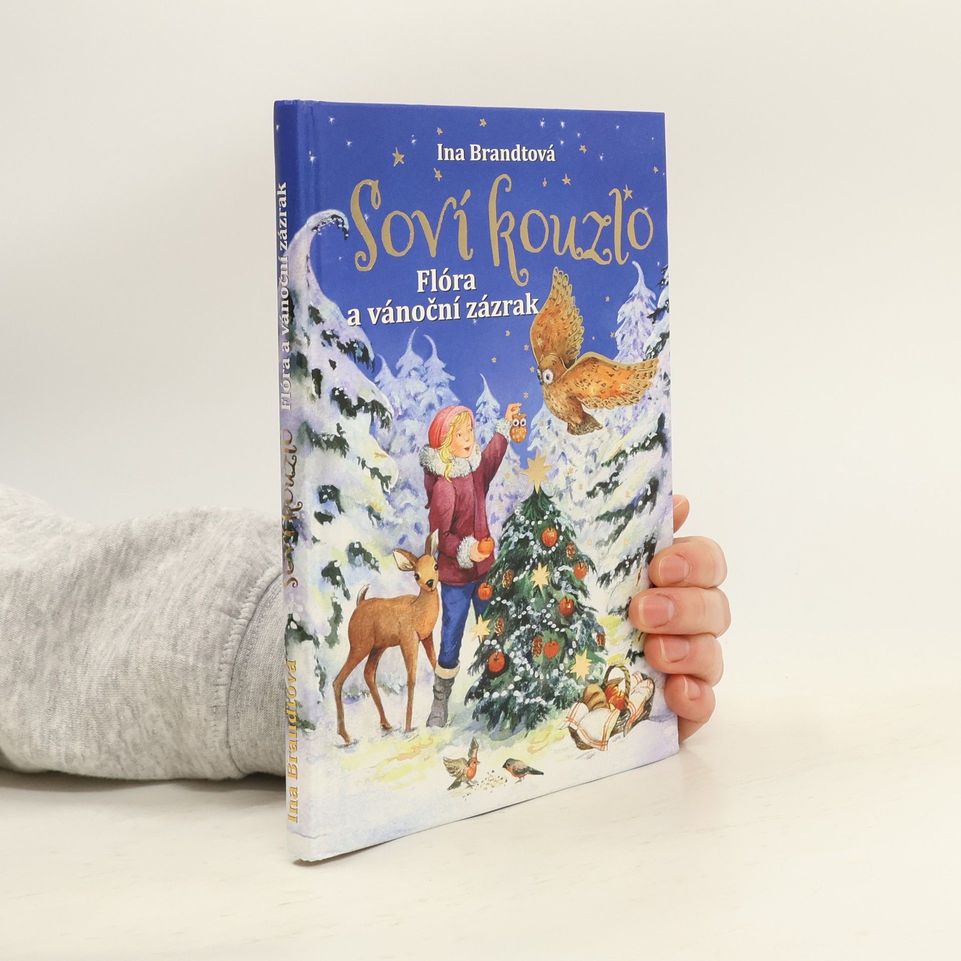 Soví kouzlo. Flóra a vánoční zázrak