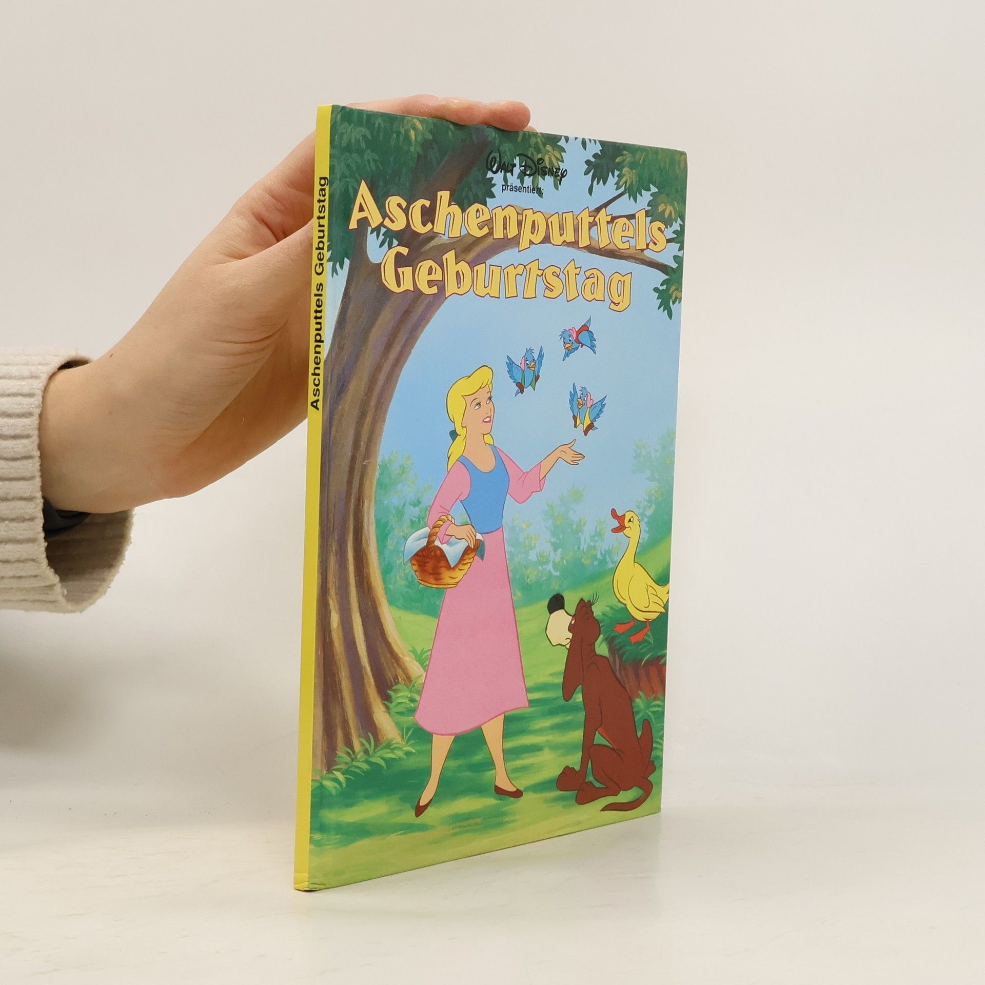 Autorenkollektiv Aschenputtels Geburtstag