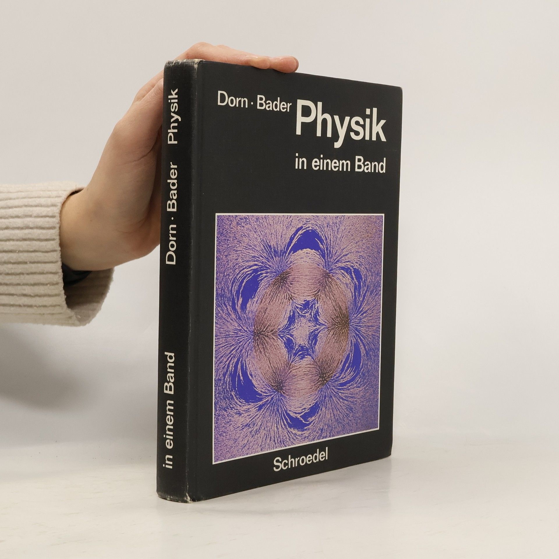 Kolektiv autorů Physik in einem Band