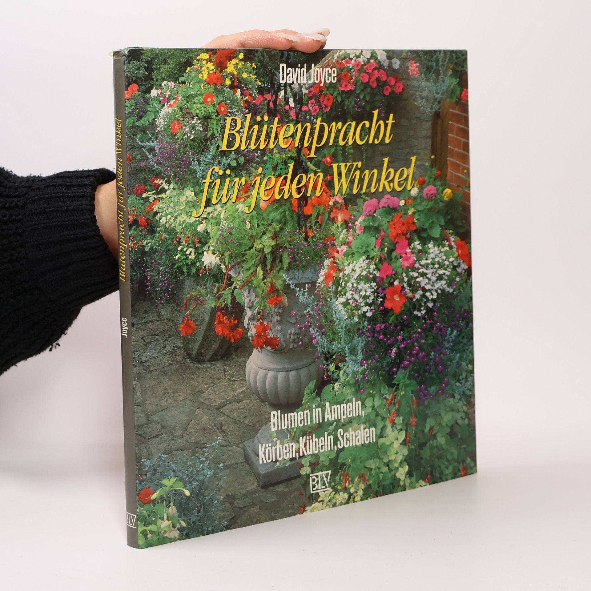 Blütenpracht für jeden Winkel