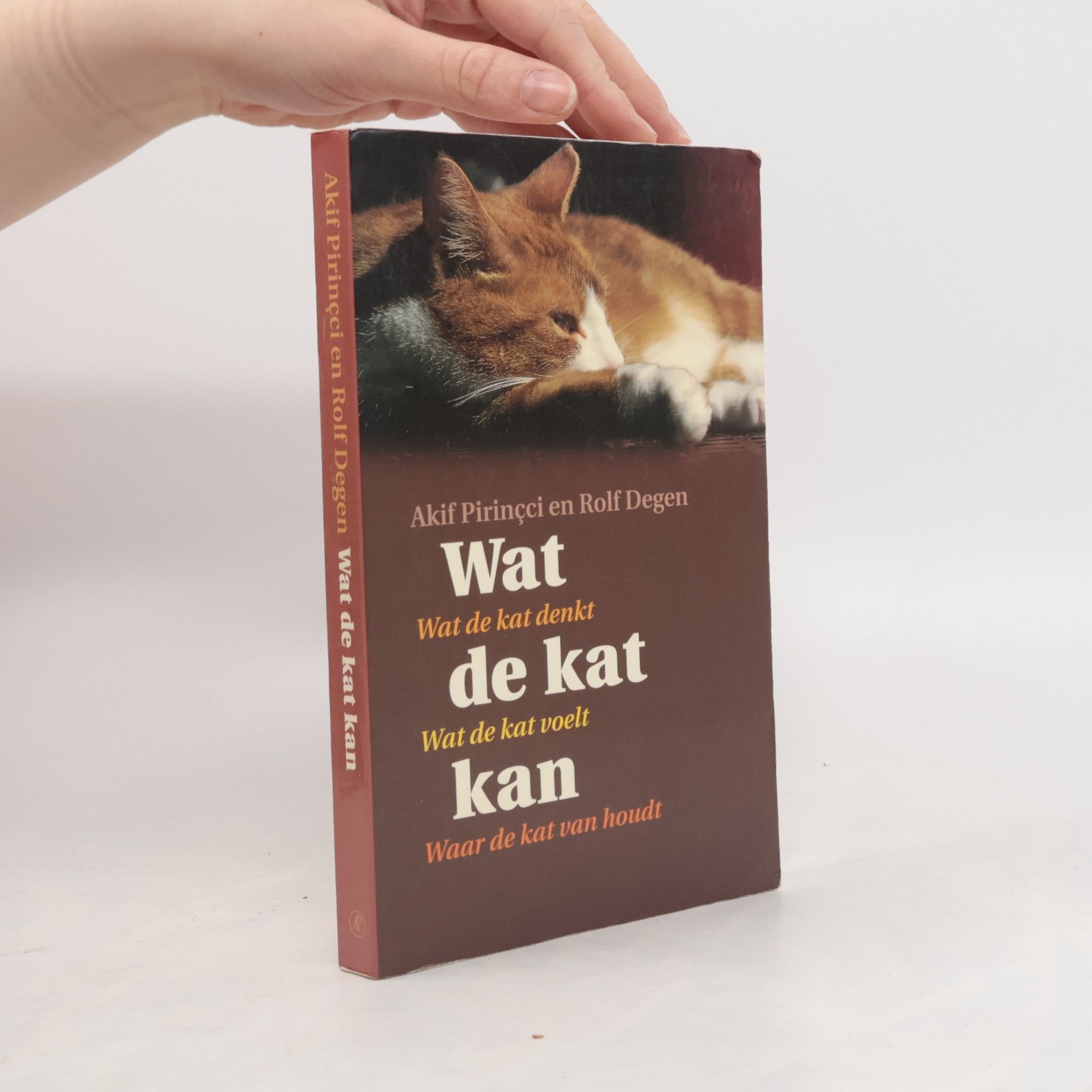 Wat de kat kan