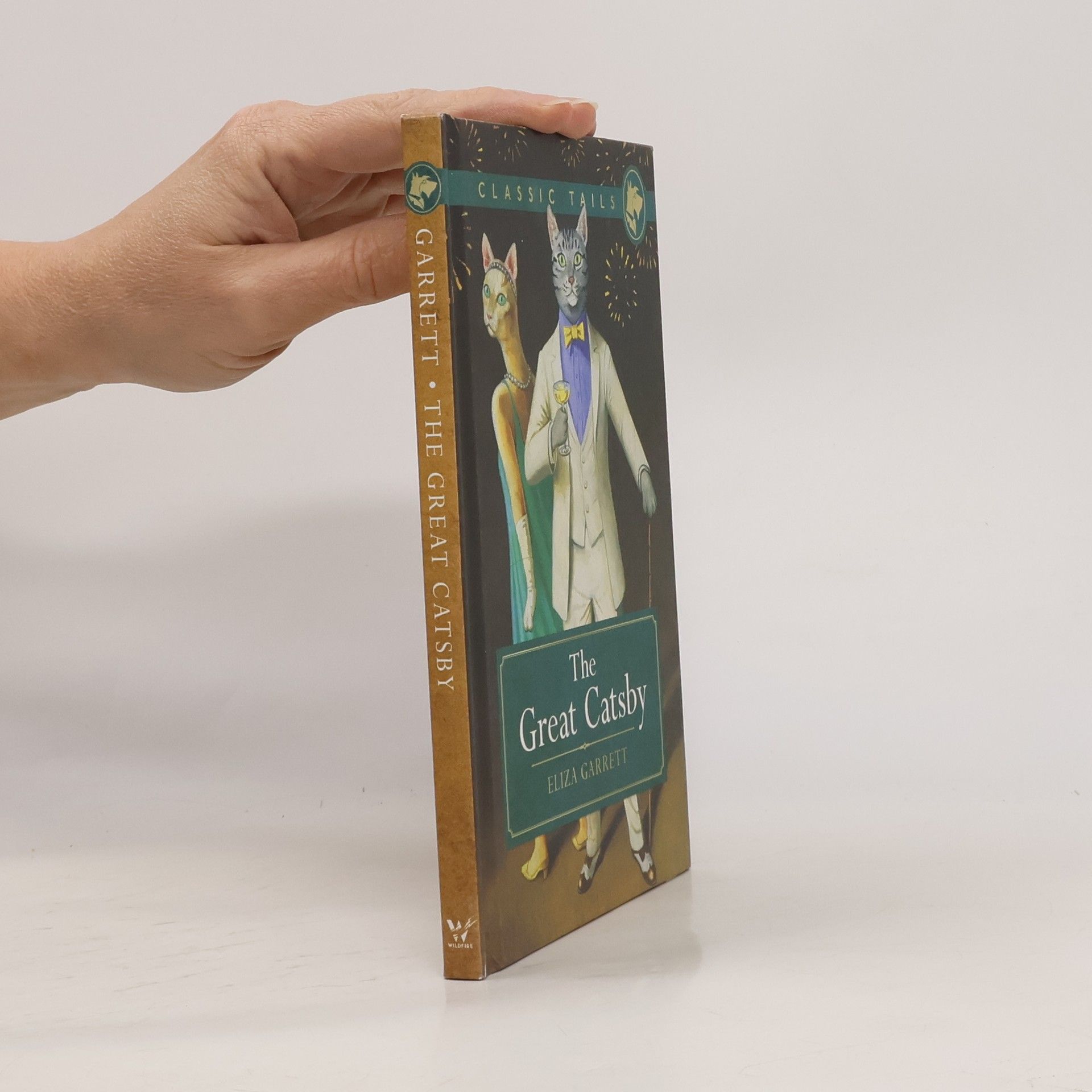 Francis Scott Fitzgerald The Great Catsby