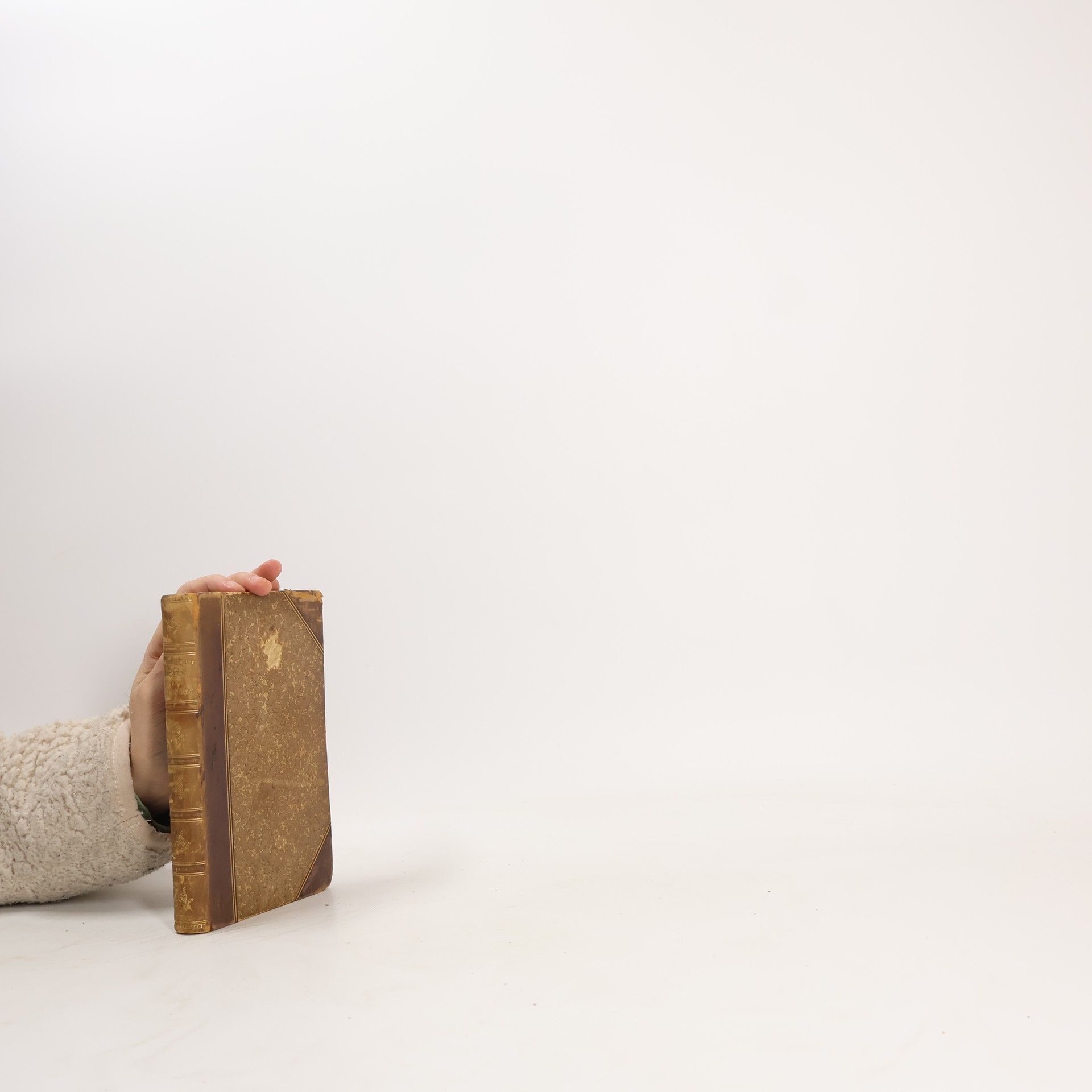 Heinrich Heine Buch der Lieder