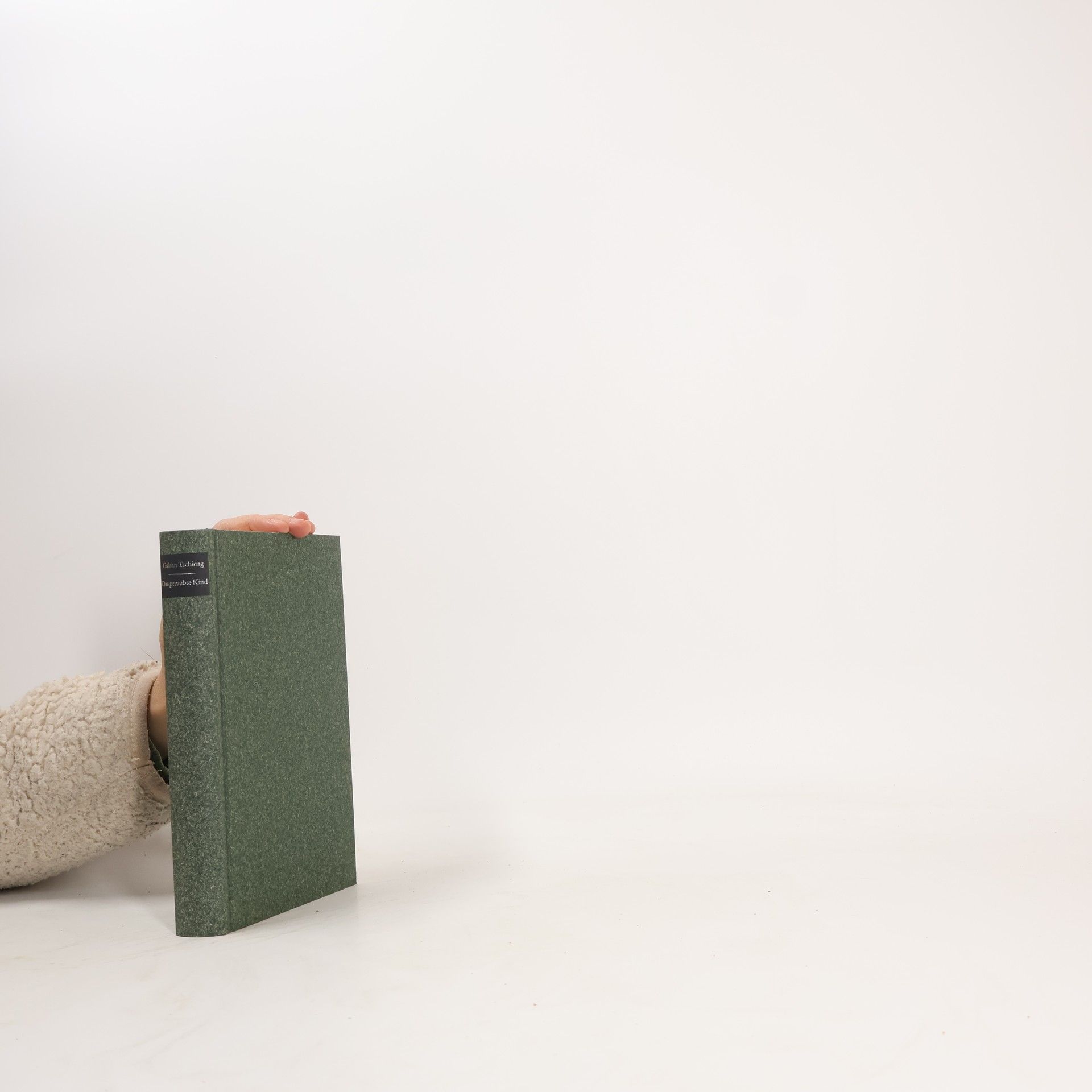 Galsan Tschinag Das geraubte Kind