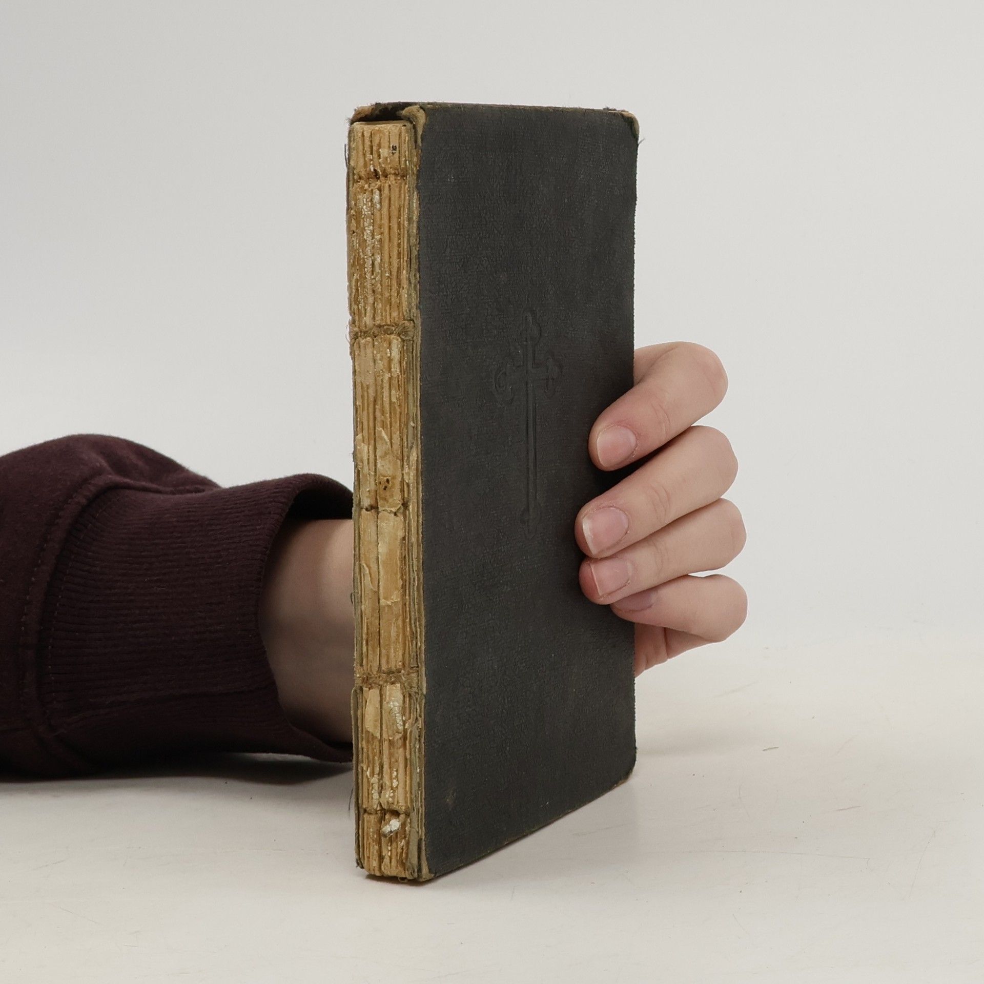 Skřivánek Českého ráje