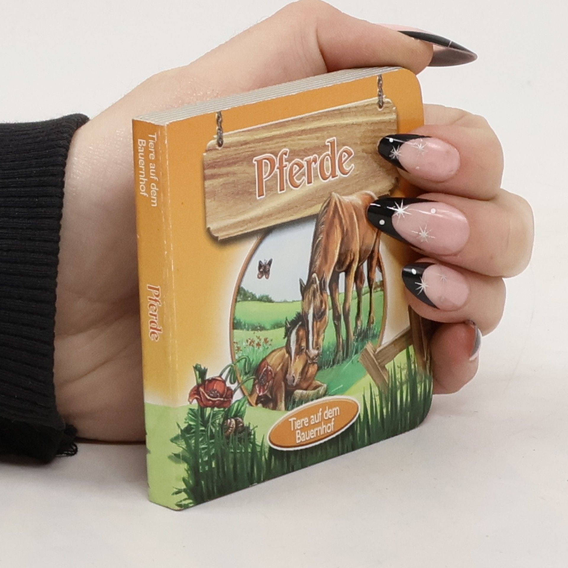 Kolektiv autorů Pferde