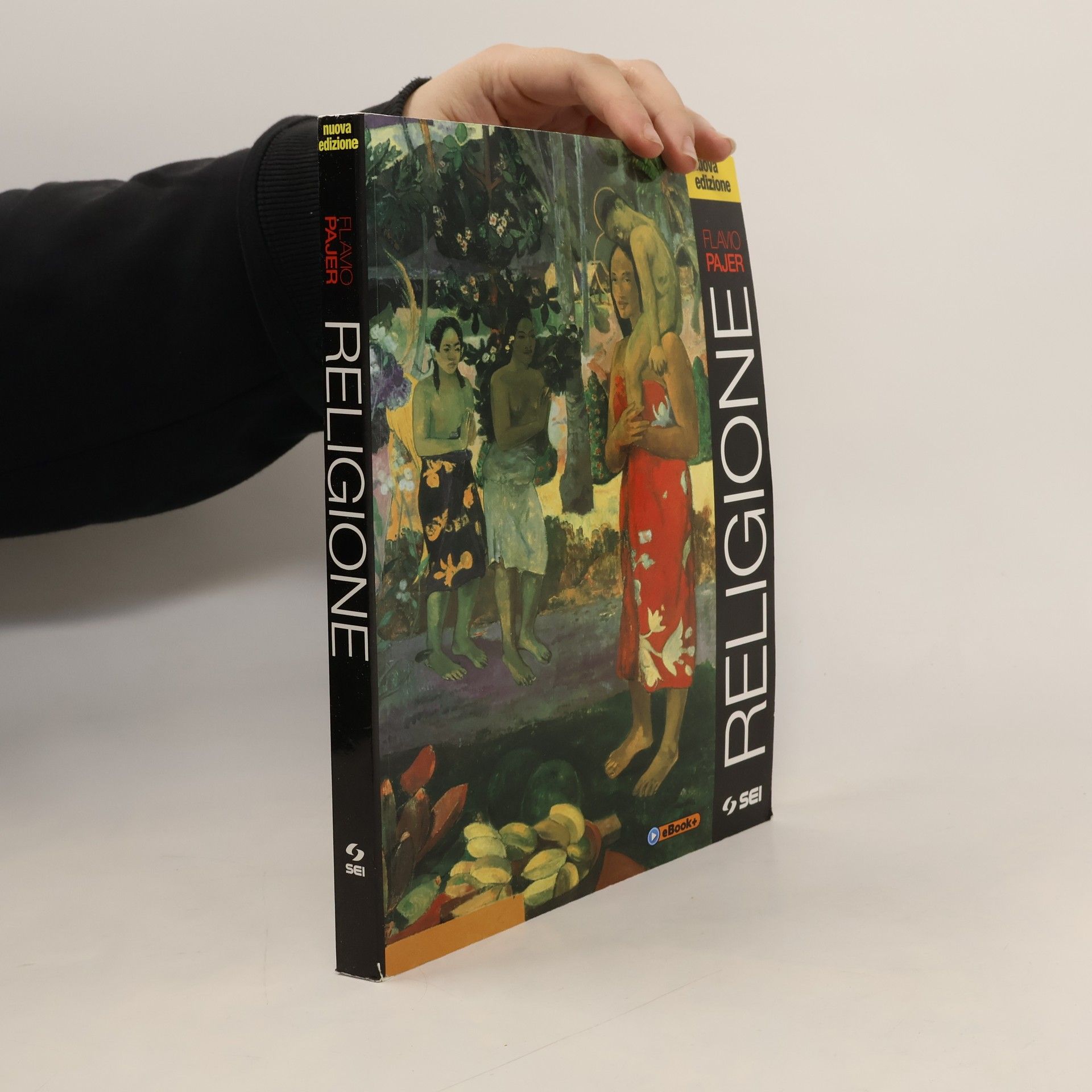 Flavio Pajer Religione-Ciotti. Non lasciamoci rubare il futuro