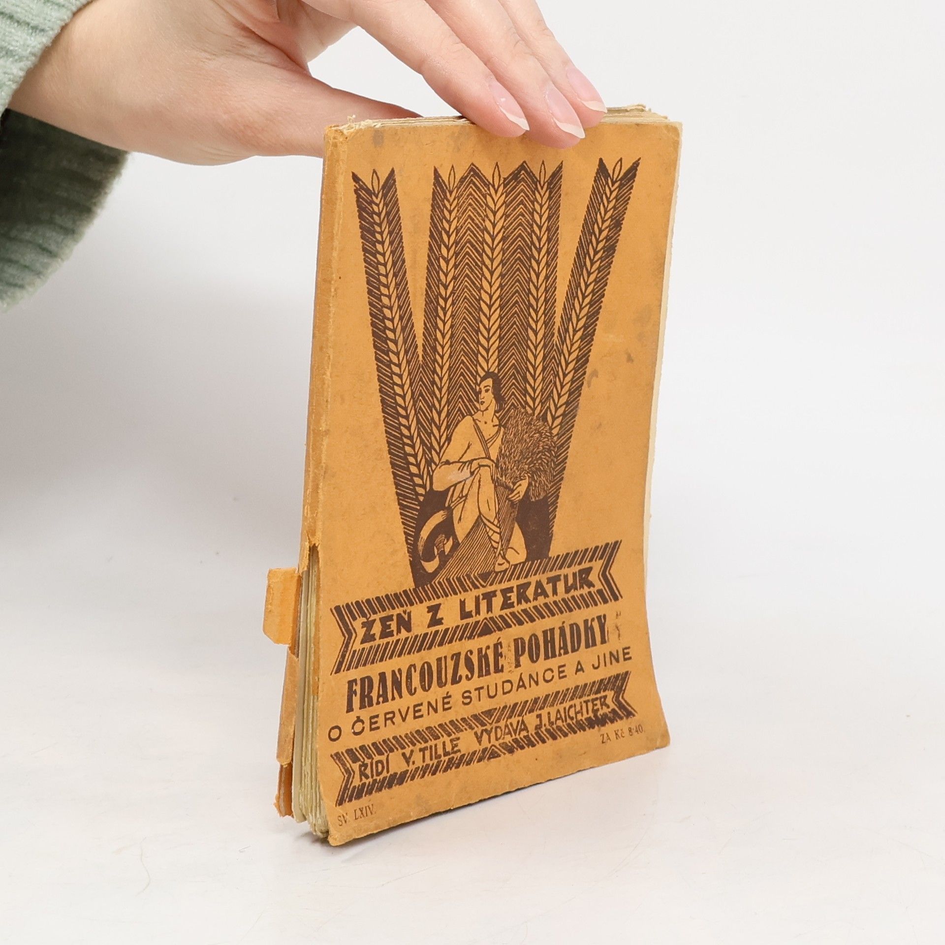 Autorenkollektiv Francouzské pohádky: O červené studánce