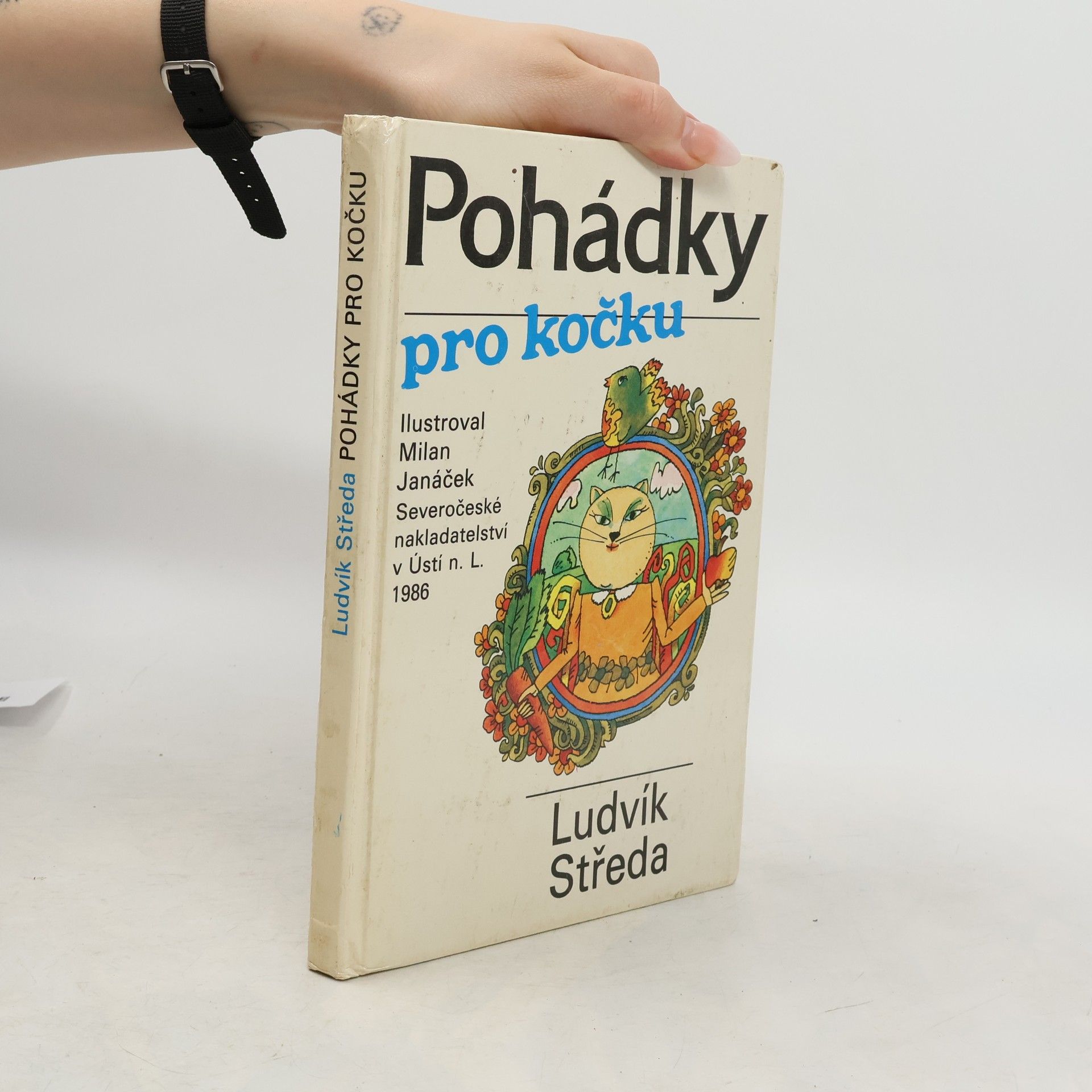 Ludvík Středa Pohádky pro kočku