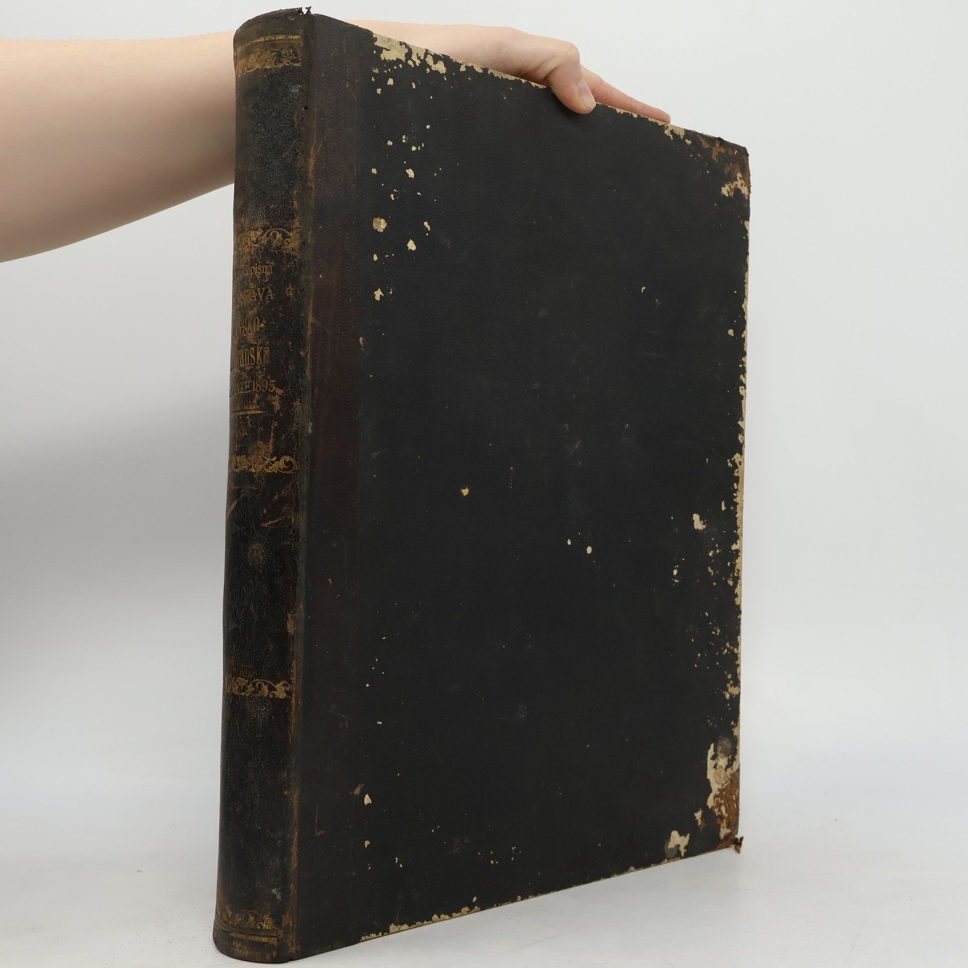 Kolektiv autorů Národopisná výstava českoslovanská v Praze 1895