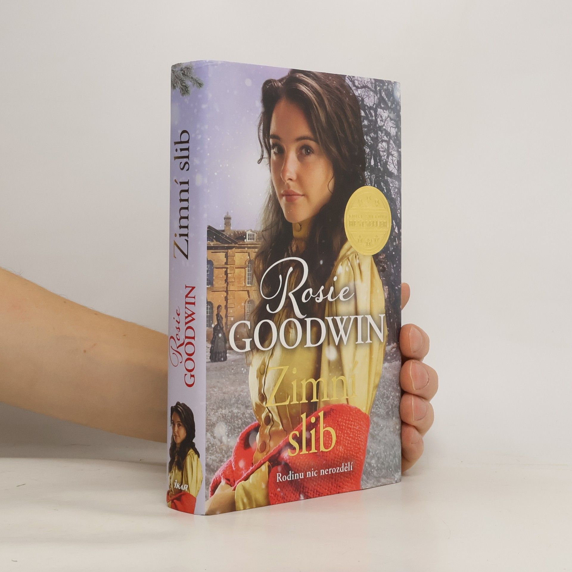 Rosie Goodwin Zimní slib