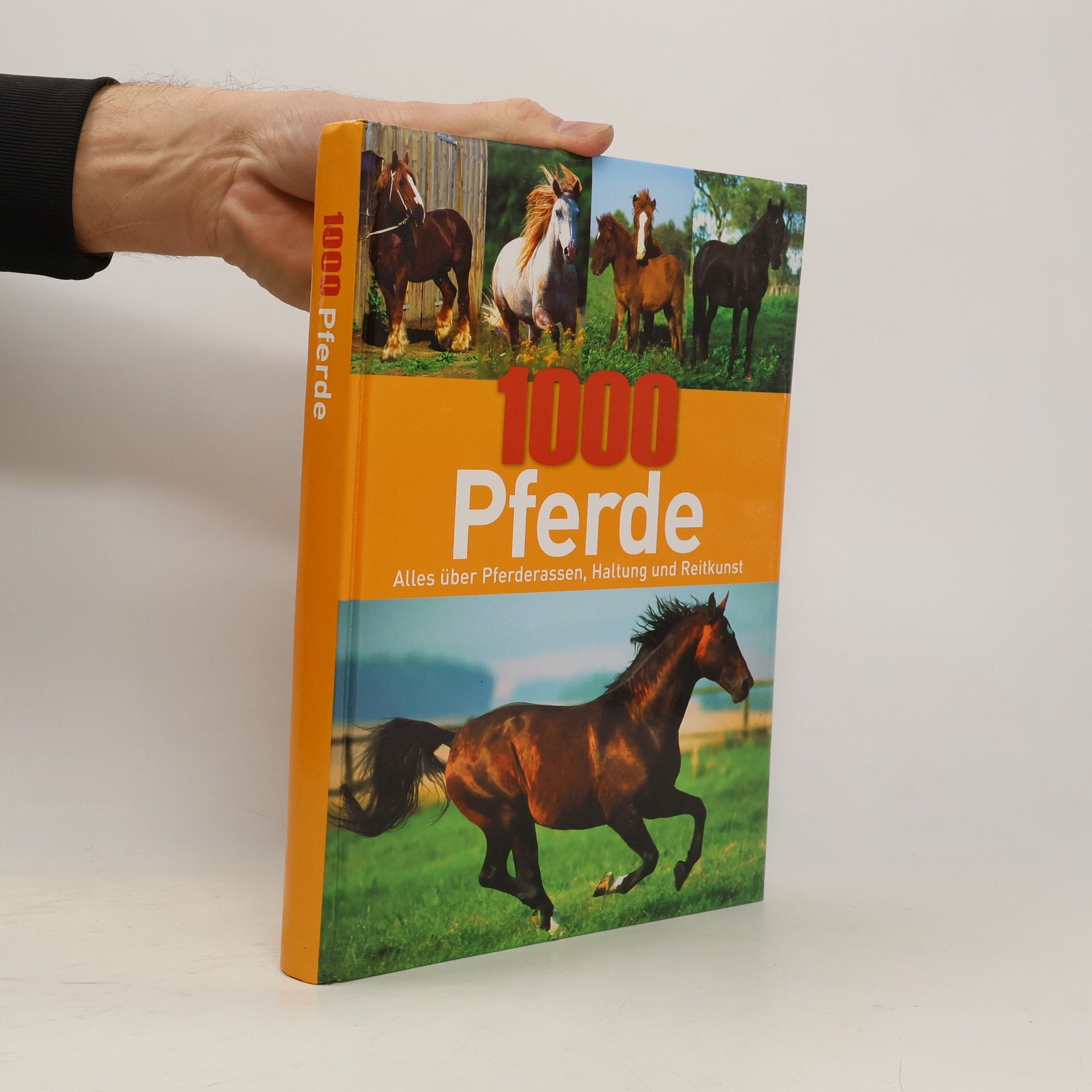 Kolektív autorov 1000 Pferde. Alles über Pferderassen, Haftung und Reitkunst