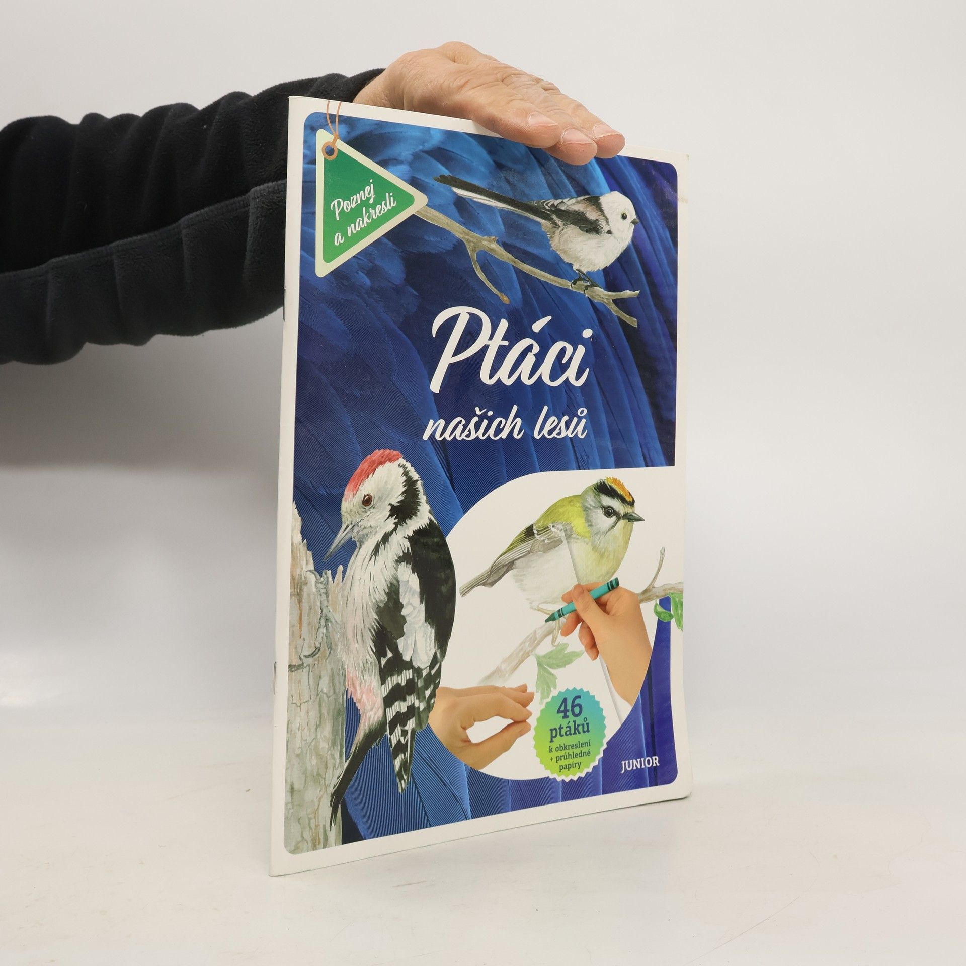 Kolektiv autorů Ptáci našich lesů