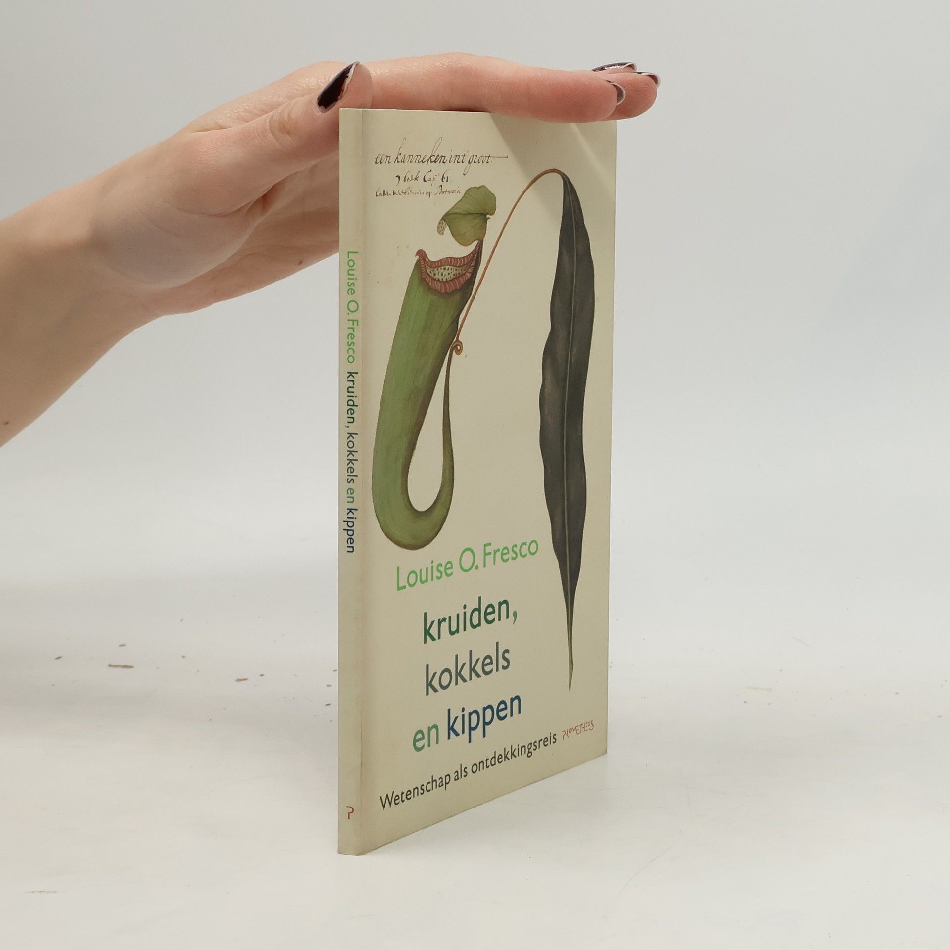 Louise Odilia Fresco Kruiden, kokkels en kippen