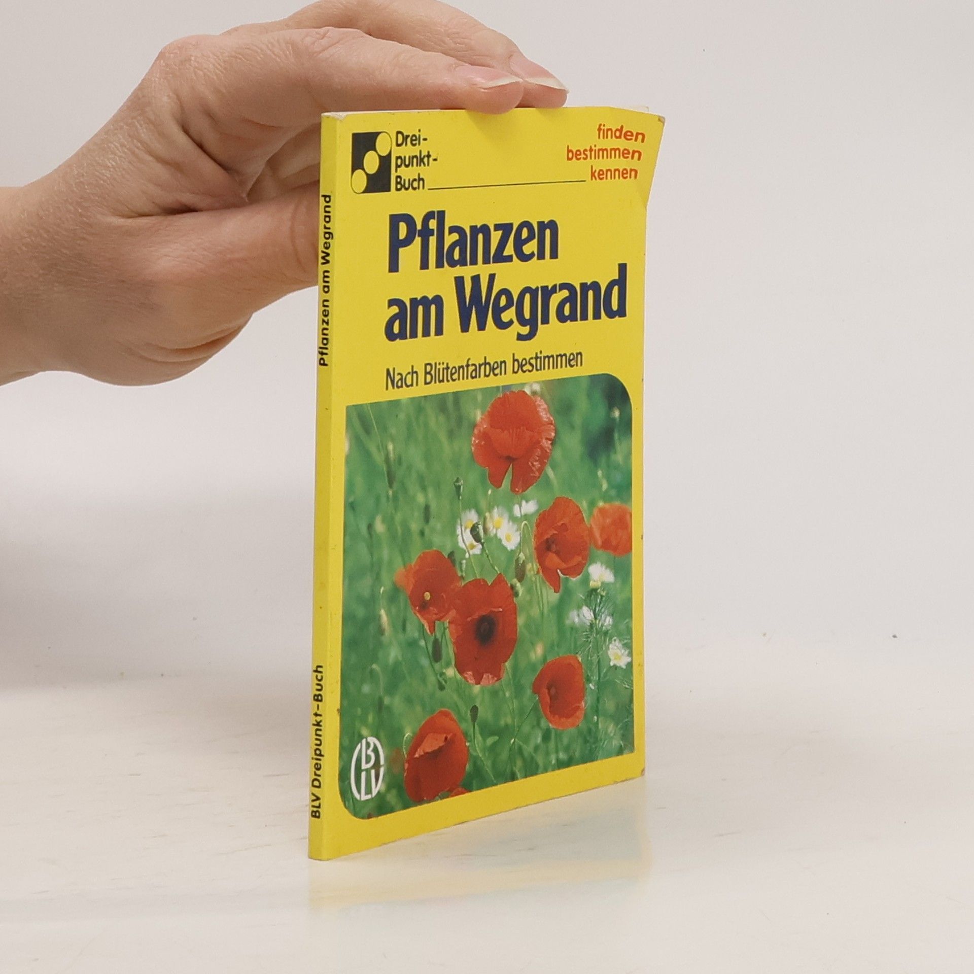 Pflanzen am Wegrand