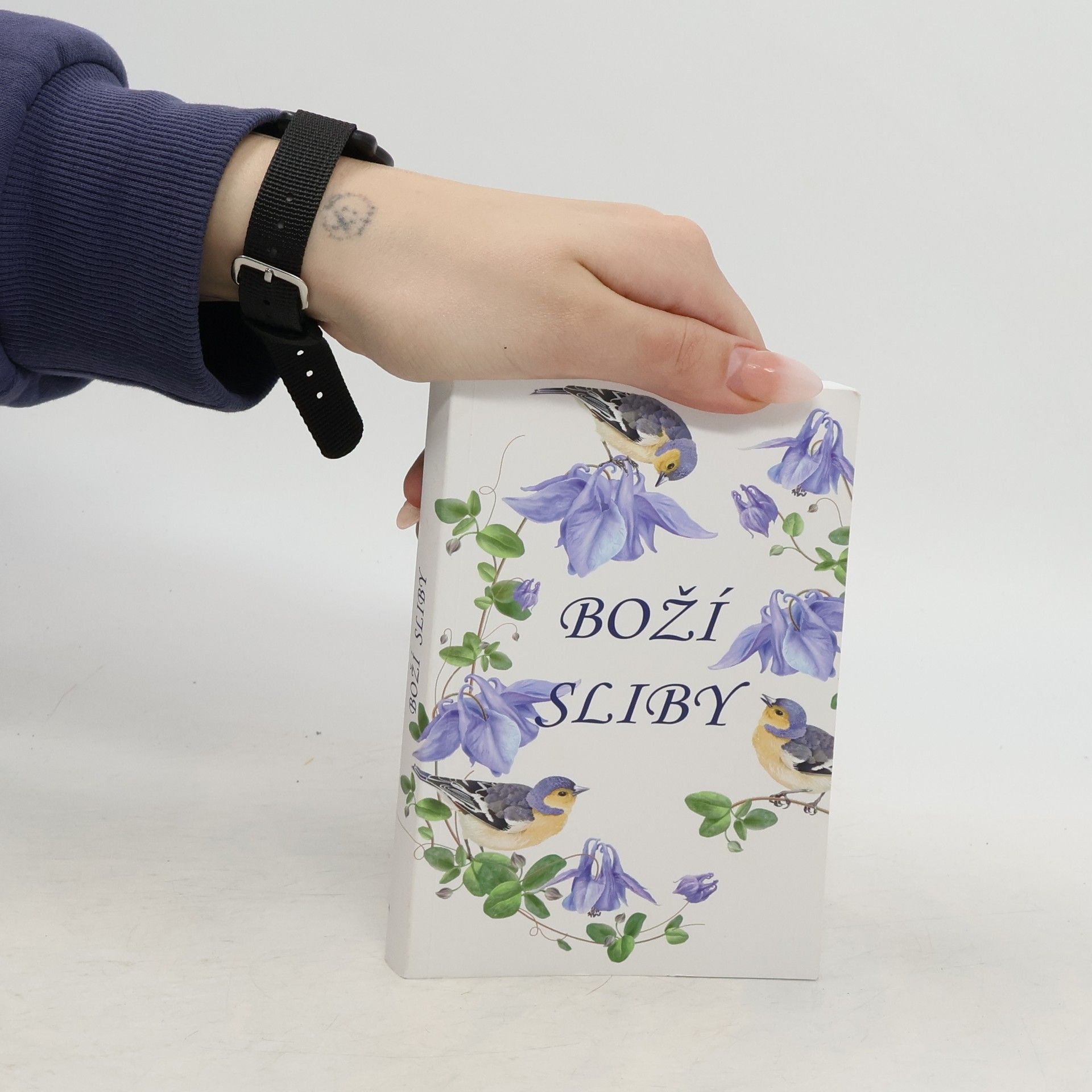 Kolektiv autorů Boží sliby