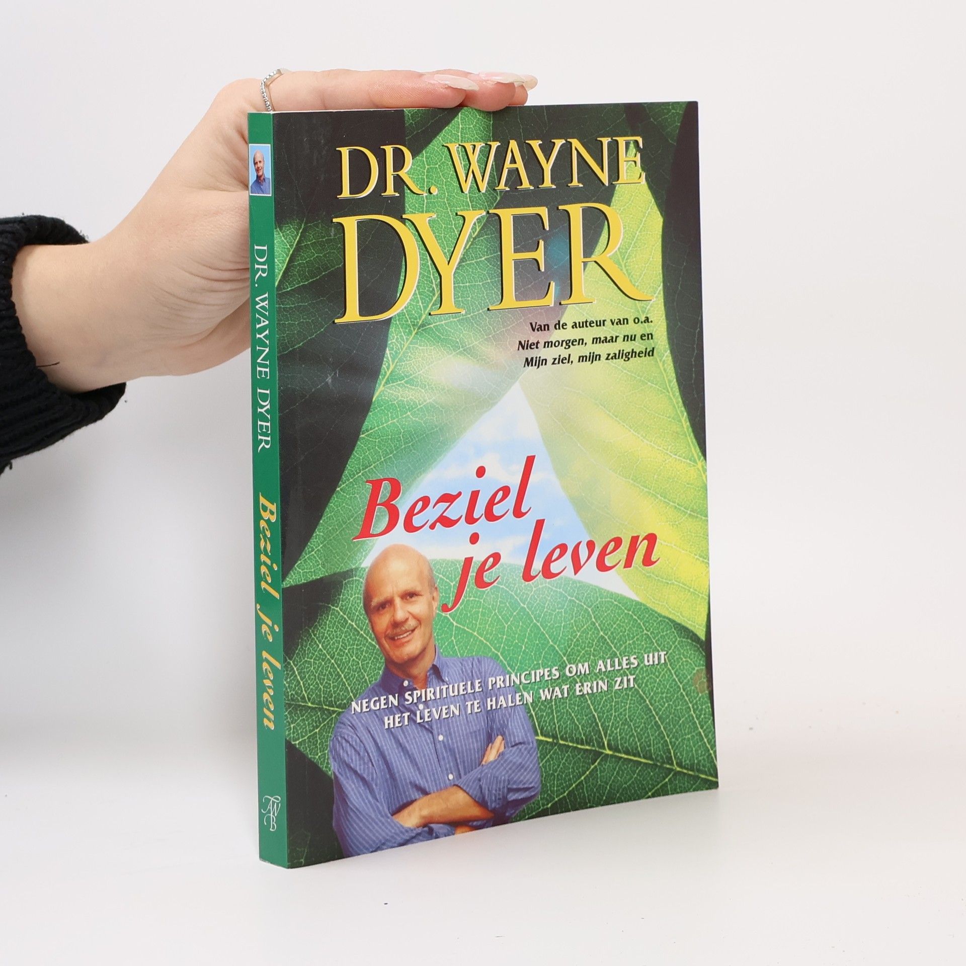 Wayne Dyer Beziel je leven
