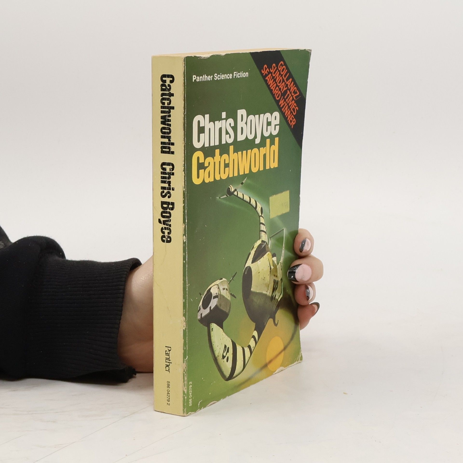 Chris Boyce Catchworld