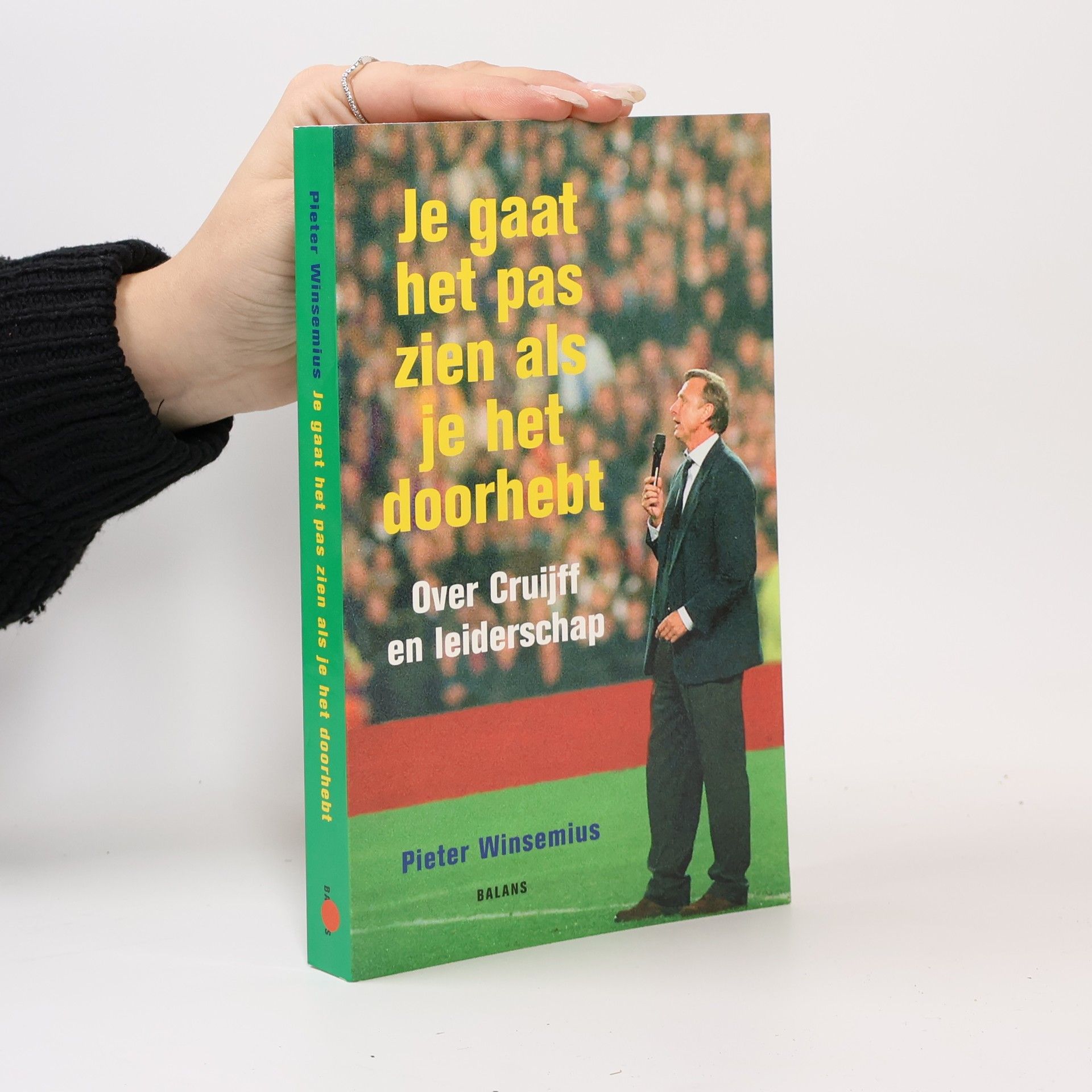 Pieter Winsemius Je gaat het pas zien als je het doorhebt