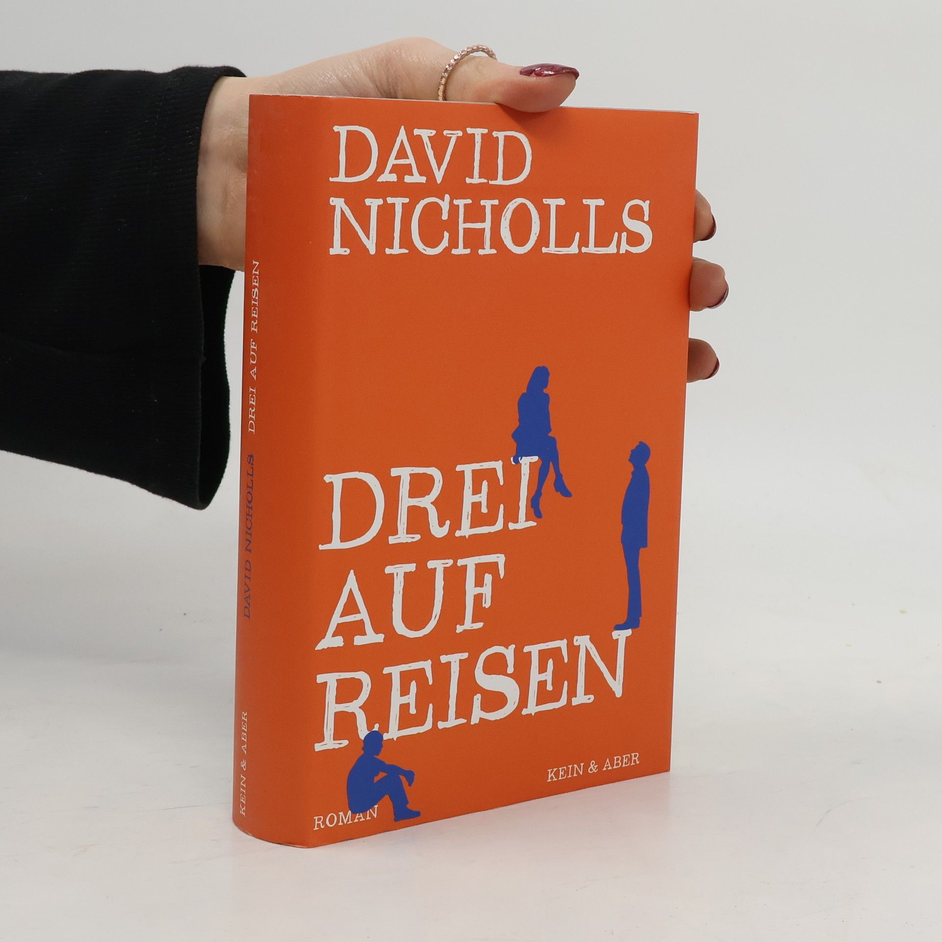 David Nicholls Drei auf Reisen