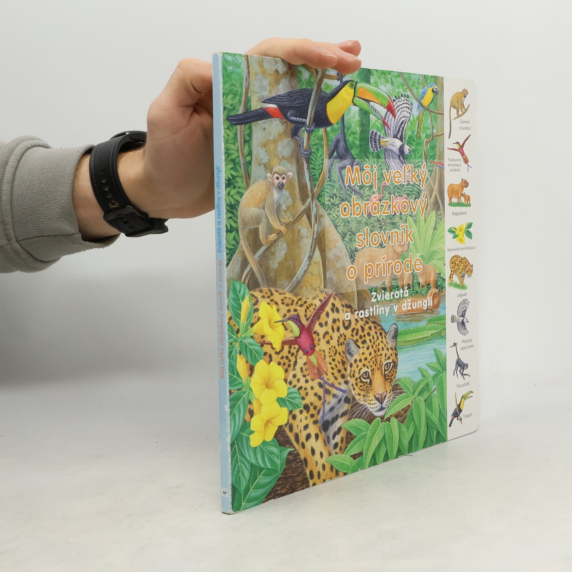 Auteurscollectief Môj veľký obrázkový slovník o prírode