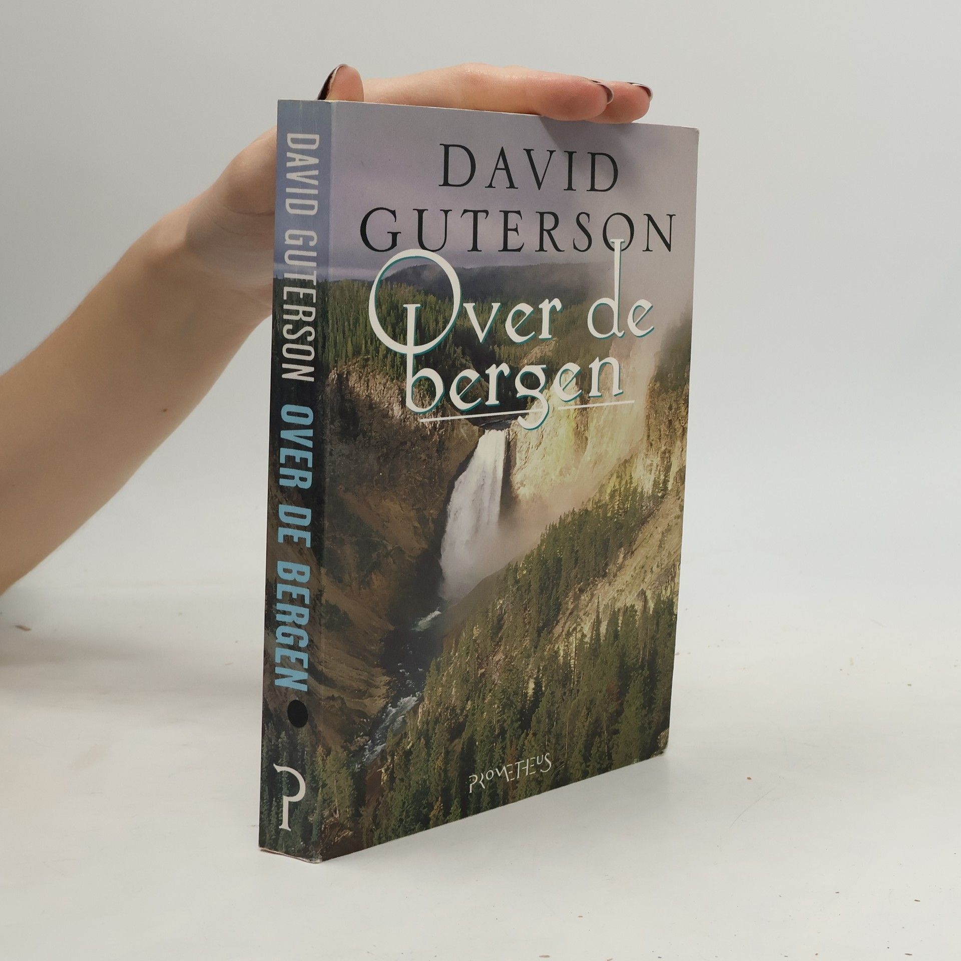 David Guterson Over de bergen