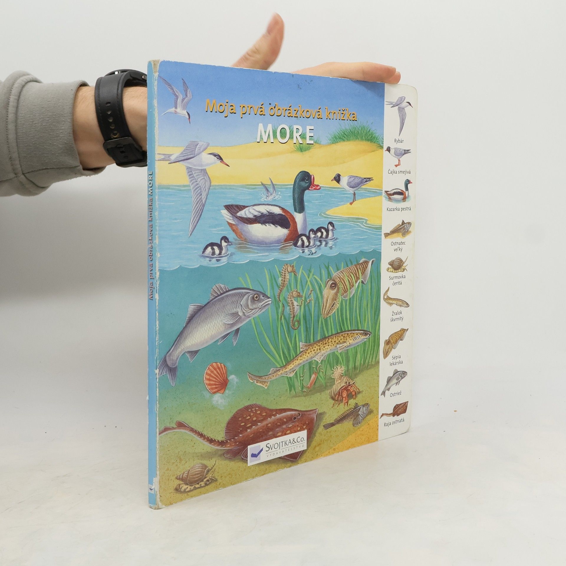 Autores varios Moja prvá obrázková knižka - More